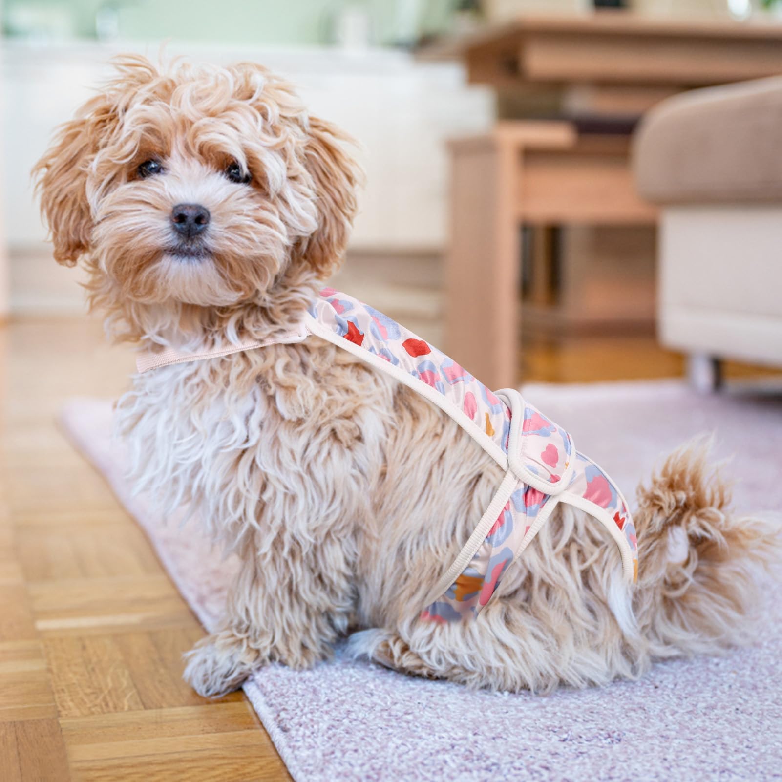ASENKU 2 Pack Washable Dog Diapers for Small Female Dogs - Perfect for Heat & Period Care