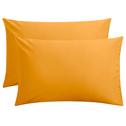 Ginger Yellow