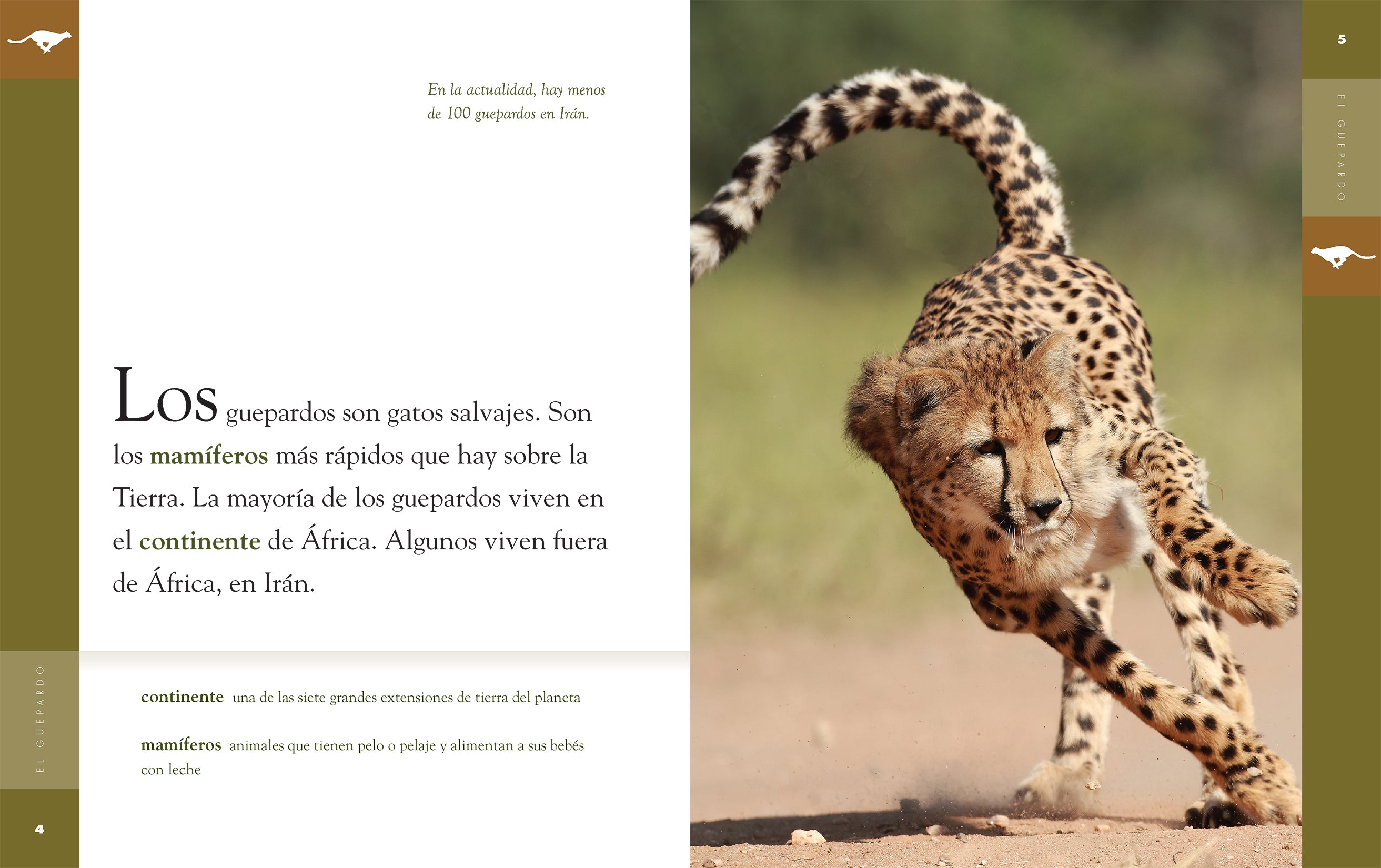 El Guepardo 9781640264632 - Spanish Children's Book About Cheetahs - Perfect for Kids' Reading & Learning Wildlife