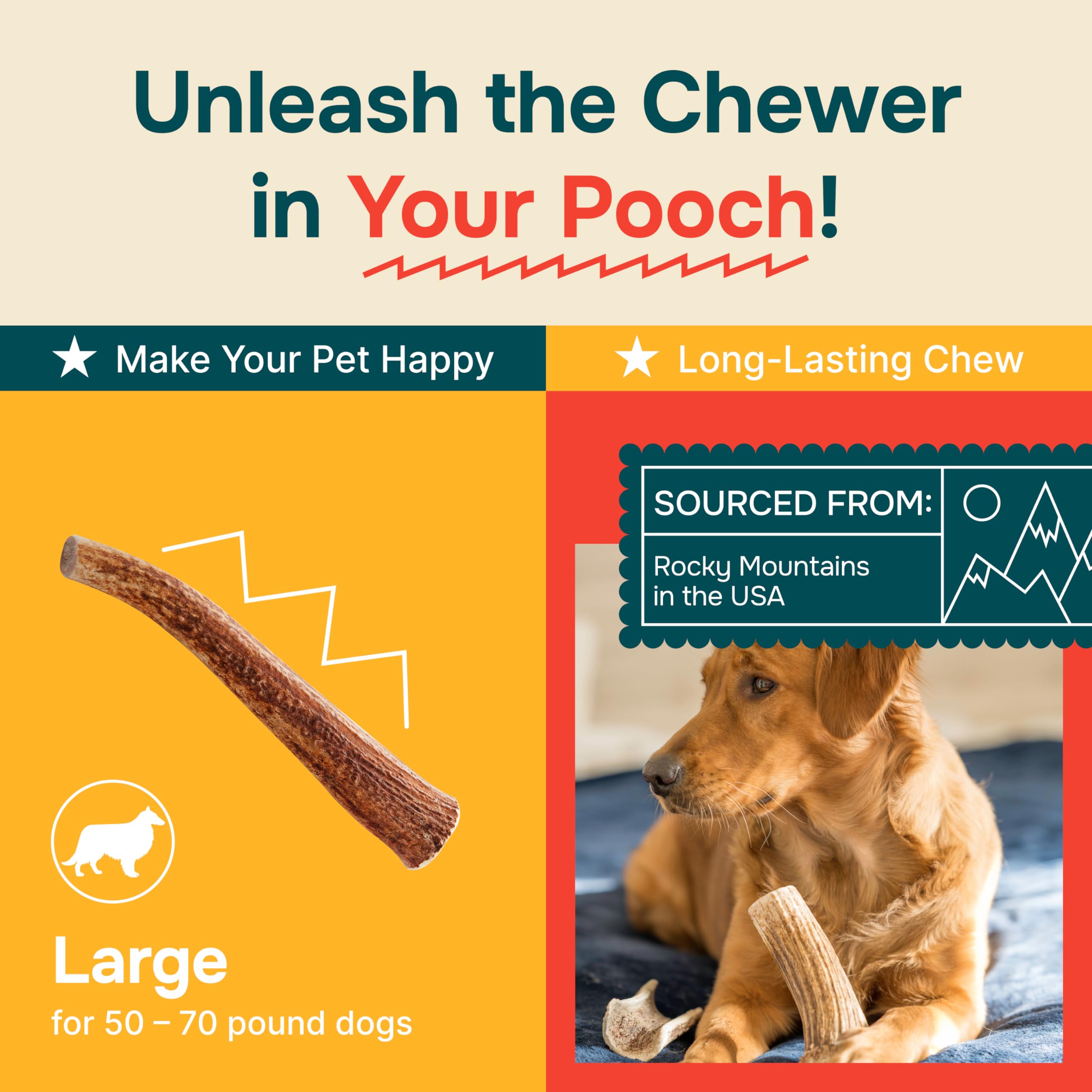 100% Natural Elk Antlers for Dogs - Long Lasting Chew Toys for Aggressive Chewers - USA Sourced Naturally Shed Antlers - Odor-Free & Mess-Free Dog Treats - Large Size - Perfect for Teething Puppies and Strong Chewers