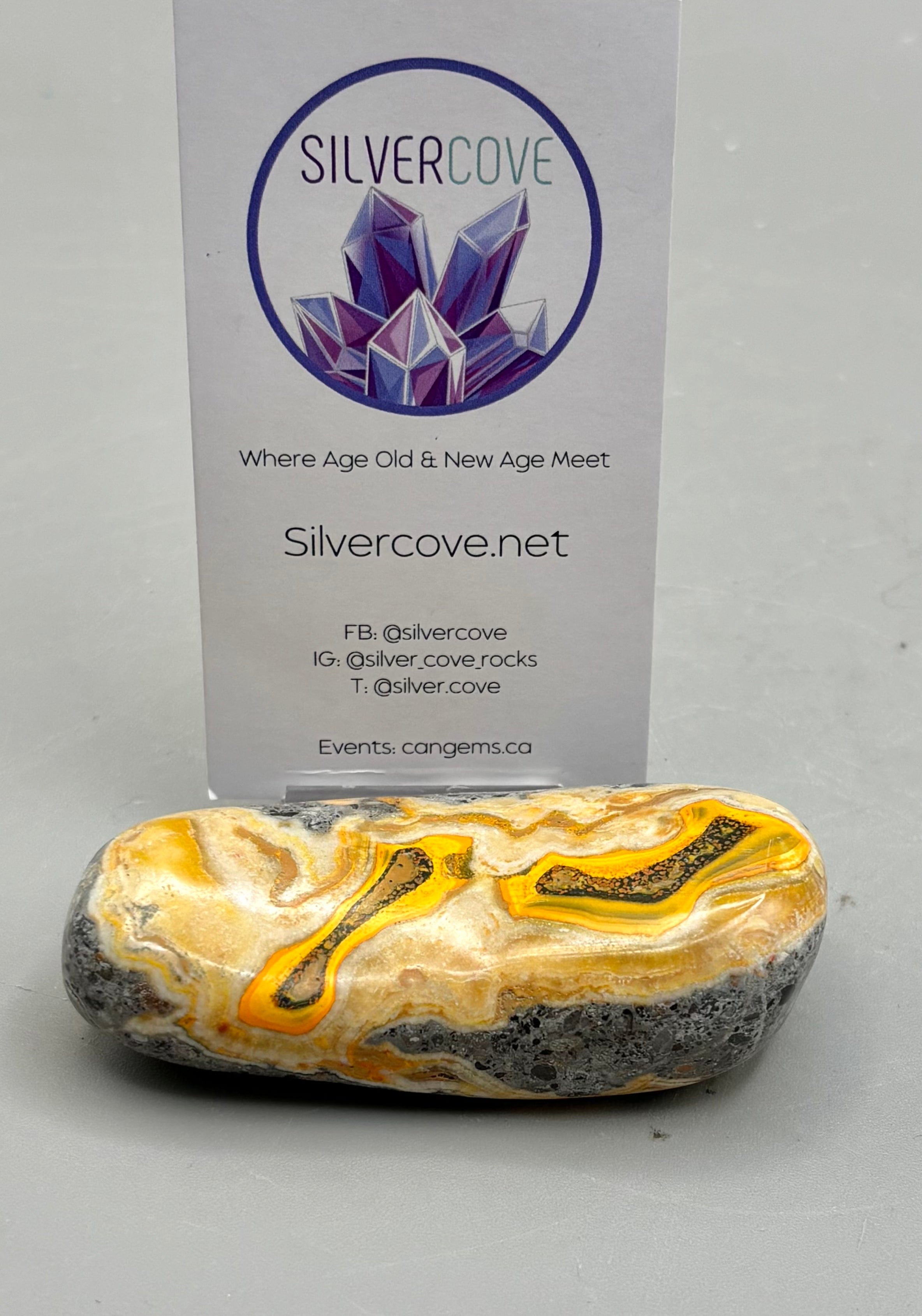 Bumble Bee Jasper Stone - Natural Healing Crystal Specimen for Meditation, Reiki & Home Decor | Collectible Mineral for Spiritual Energy & Jewelry Making
