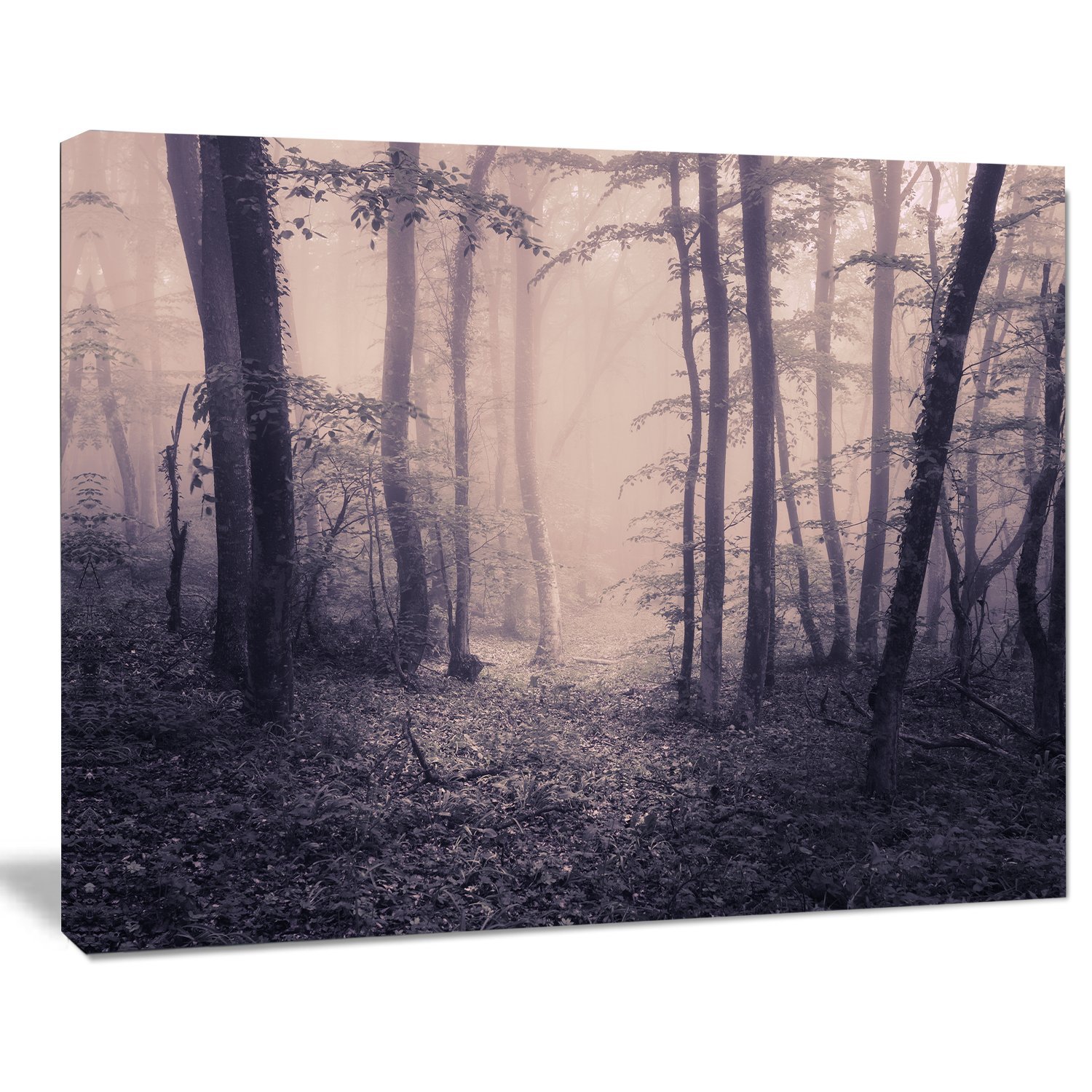Spring Forest in Fog Landscape Photo Canvas Art Print - Nature Wall Decor for Living Room, Bedroom & Office - Perfect for Home & Office Decor