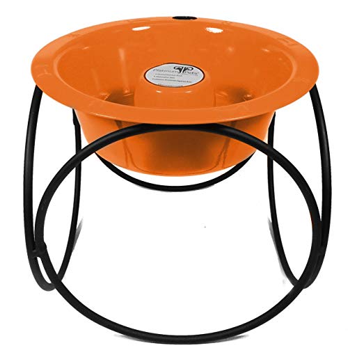 Hunter Orange
