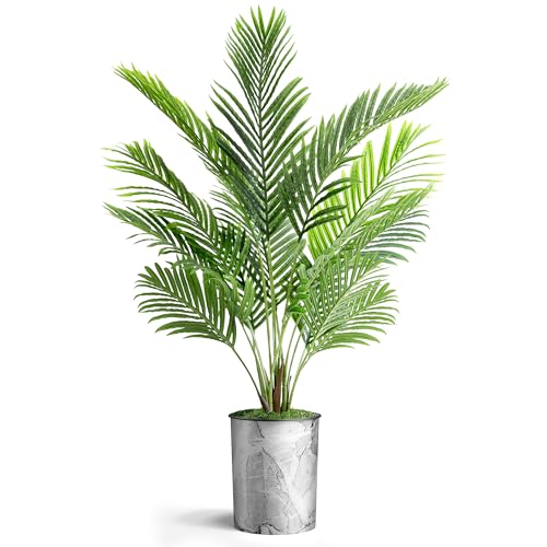 Modern Planter - 24022601