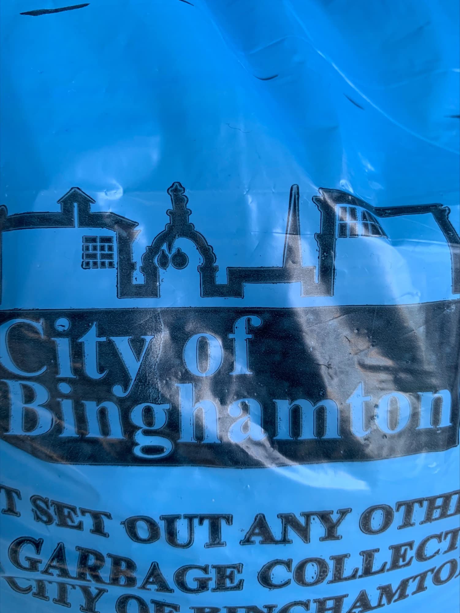Premium Heavy-Duty Trash Bags for Home & Office - 30 Gallon Large Capacity, Extra Thick & Leak-Proof - Ideal for Kitchen, Yard Waste & Commercial Use - City of Binghamton Approved