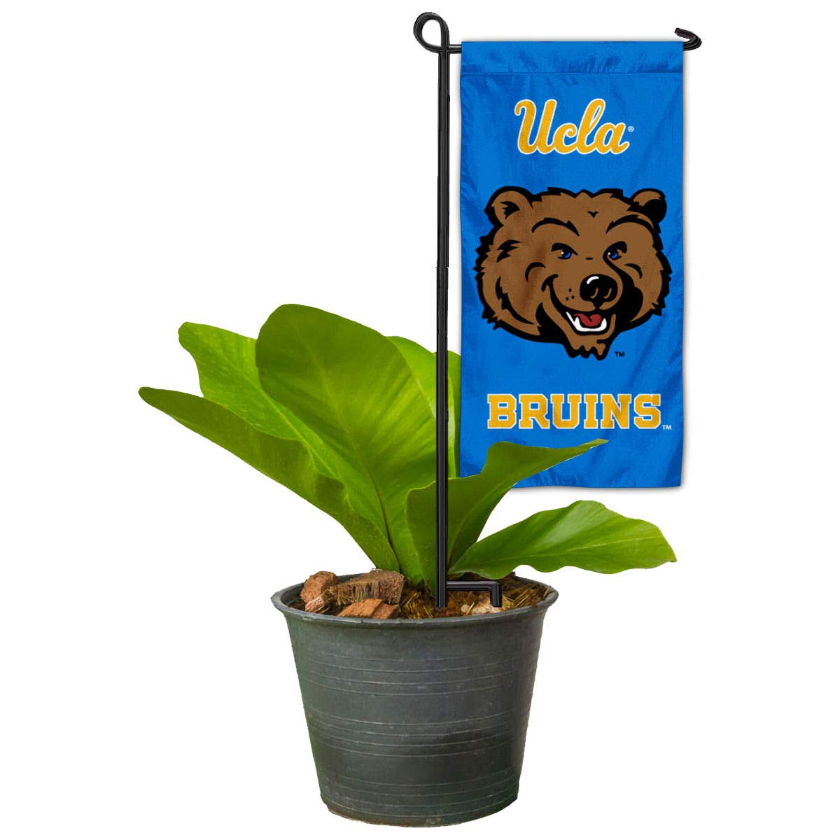 UCLA Bruins Mini Garden Flag & Flower Pot Topper - Decorative College Flags for Outdoor & Indoor Use - Perfect for Game Day, Graduation, and Campus Decor