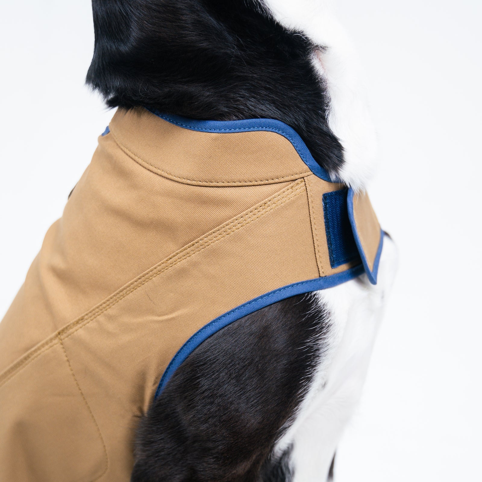 Original Camber Dog Vest - Adjustable & Reflective Pet Harness for Small to Large Dogs - Perfect for Walking, Hiking & Outdoor Adventures