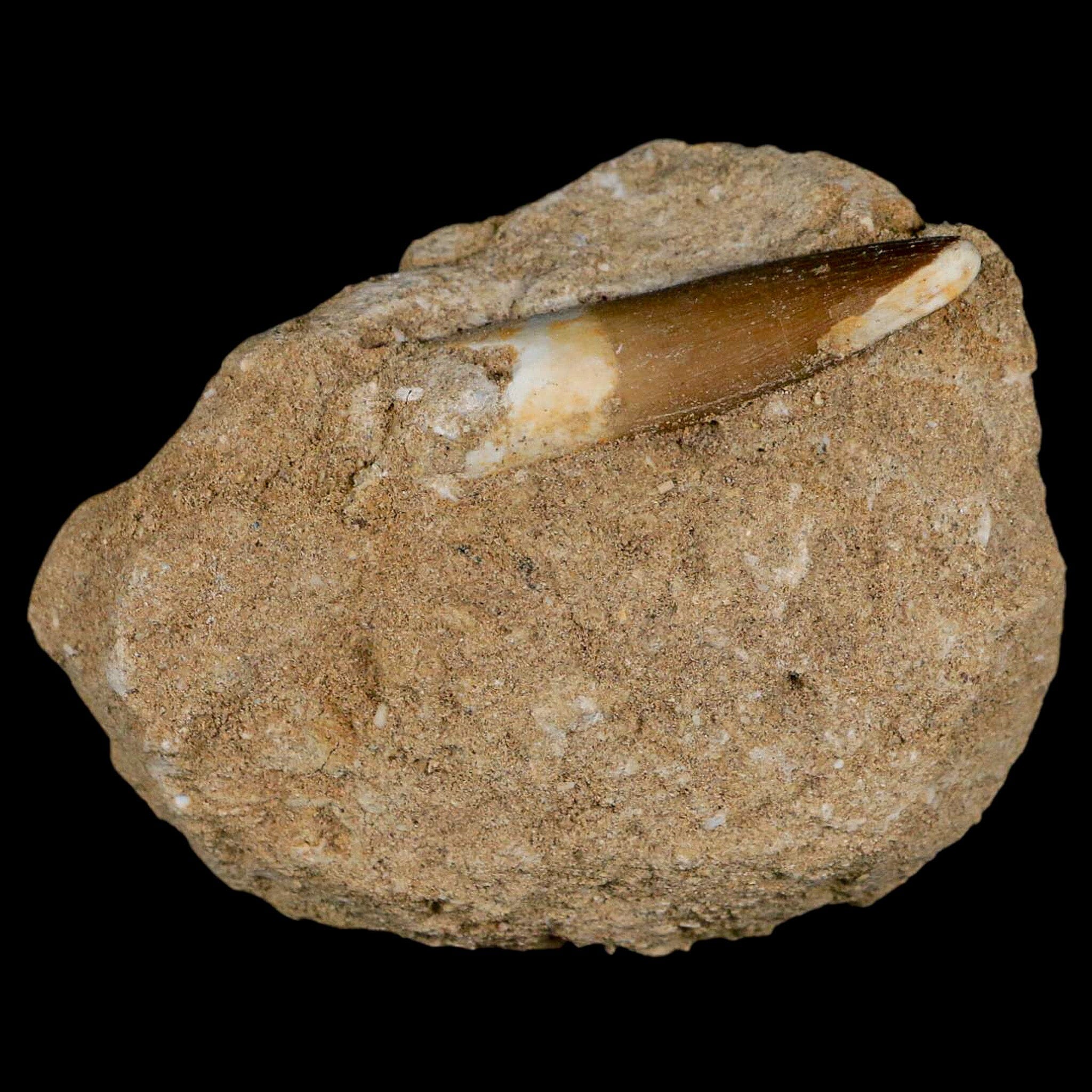 1.8