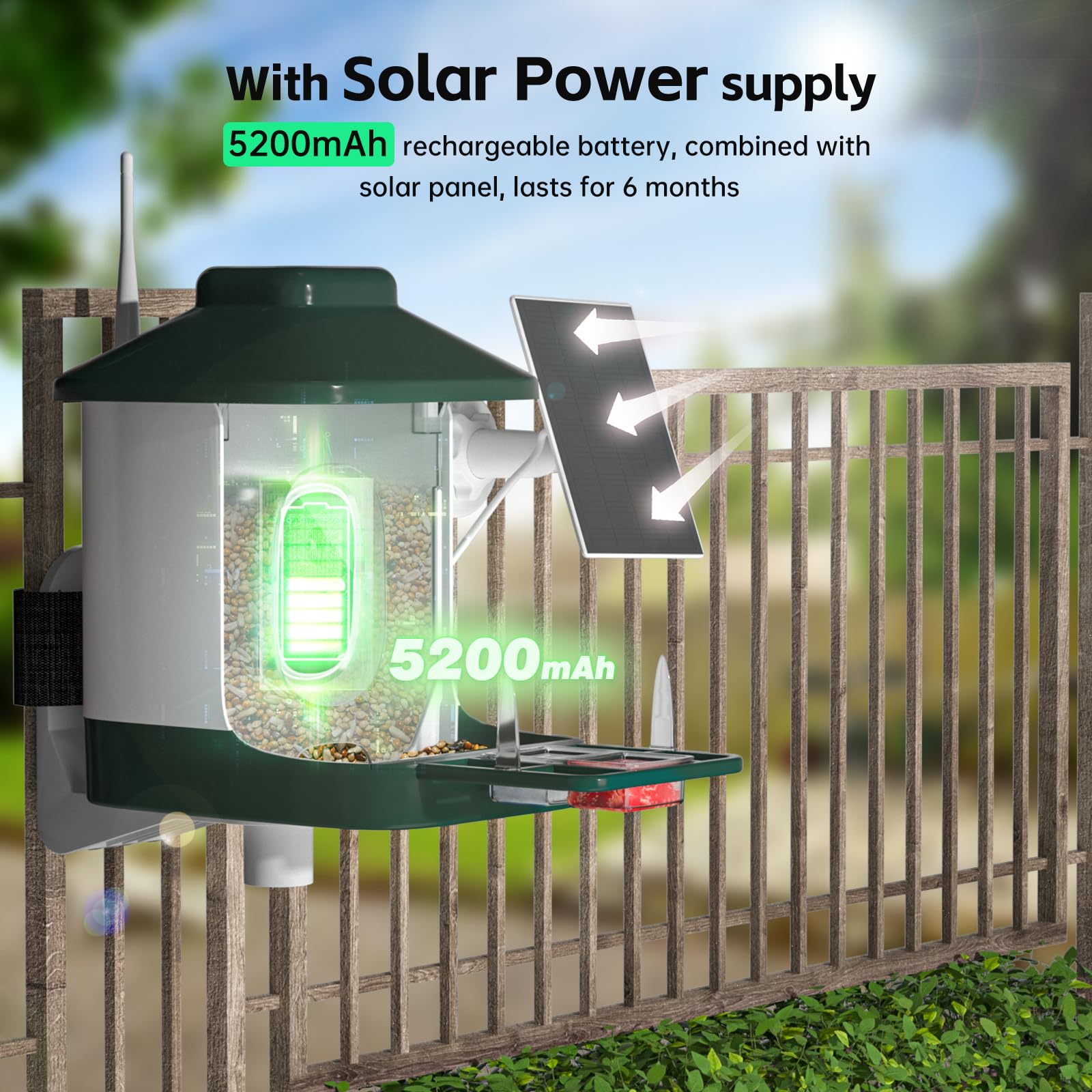 1 Year AI Smart Bird Feeder with Camera - Solar Powered 1080p Live Video, AI Bird Species Identification, 2.4Ghz WiFi & Instant Arrival Alerts - Perfect Gift for Bird Watchers & Nature Lovers - Ideal for Backyard Birdwatching, Wildlife Monitoring & Outdoor Enthusiasts