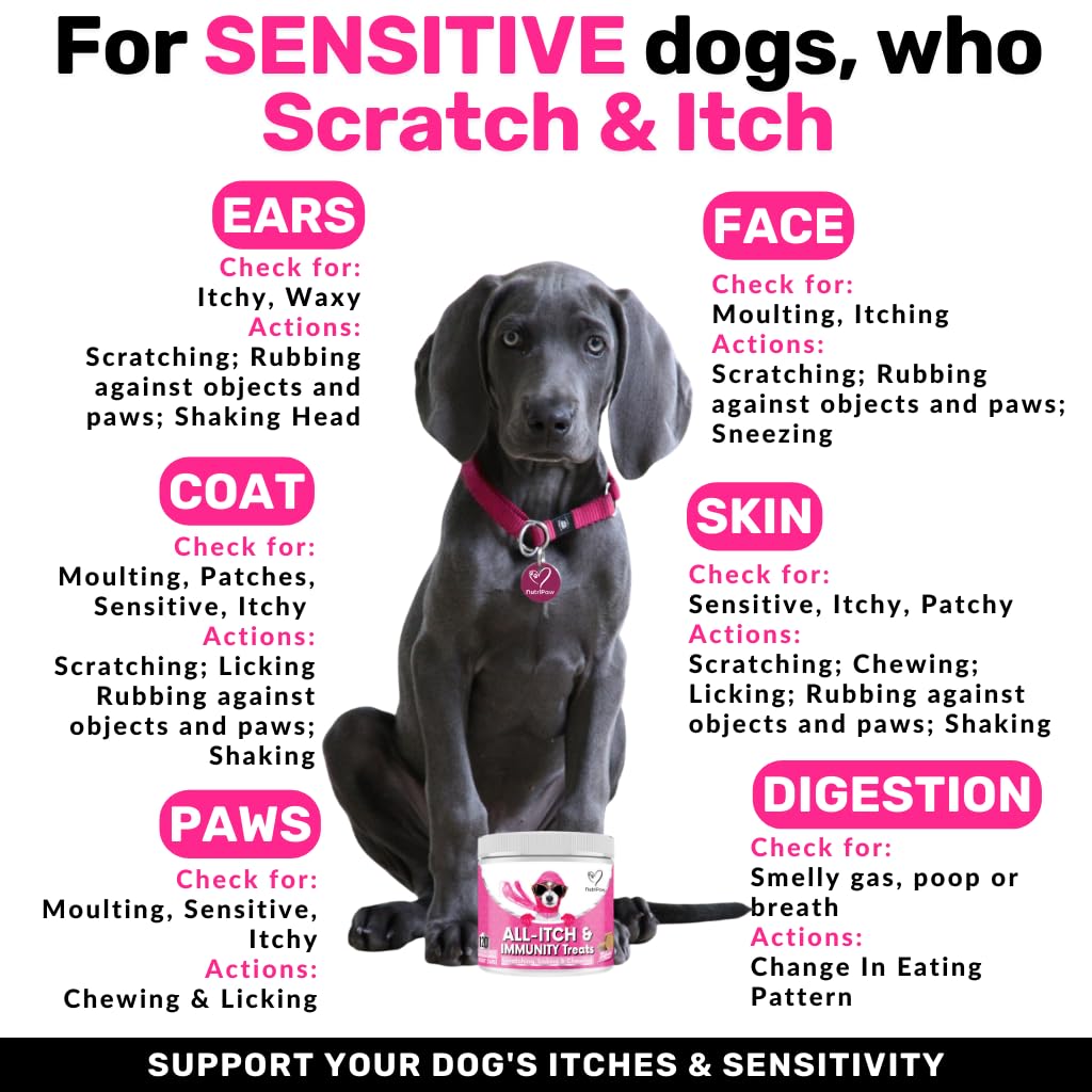 NutriPaw All-Itch Immunity Dog Treats - Soothe Itchy Skin, Paws, Ears & Eyes - Stop Excessive Licking & Scratching - Allergy Relief for Small, Medium & Large Breeds - Supports Seasonal Allergies & Hot Spots - Perfect for Outdoor Adventures & Daily Comfort