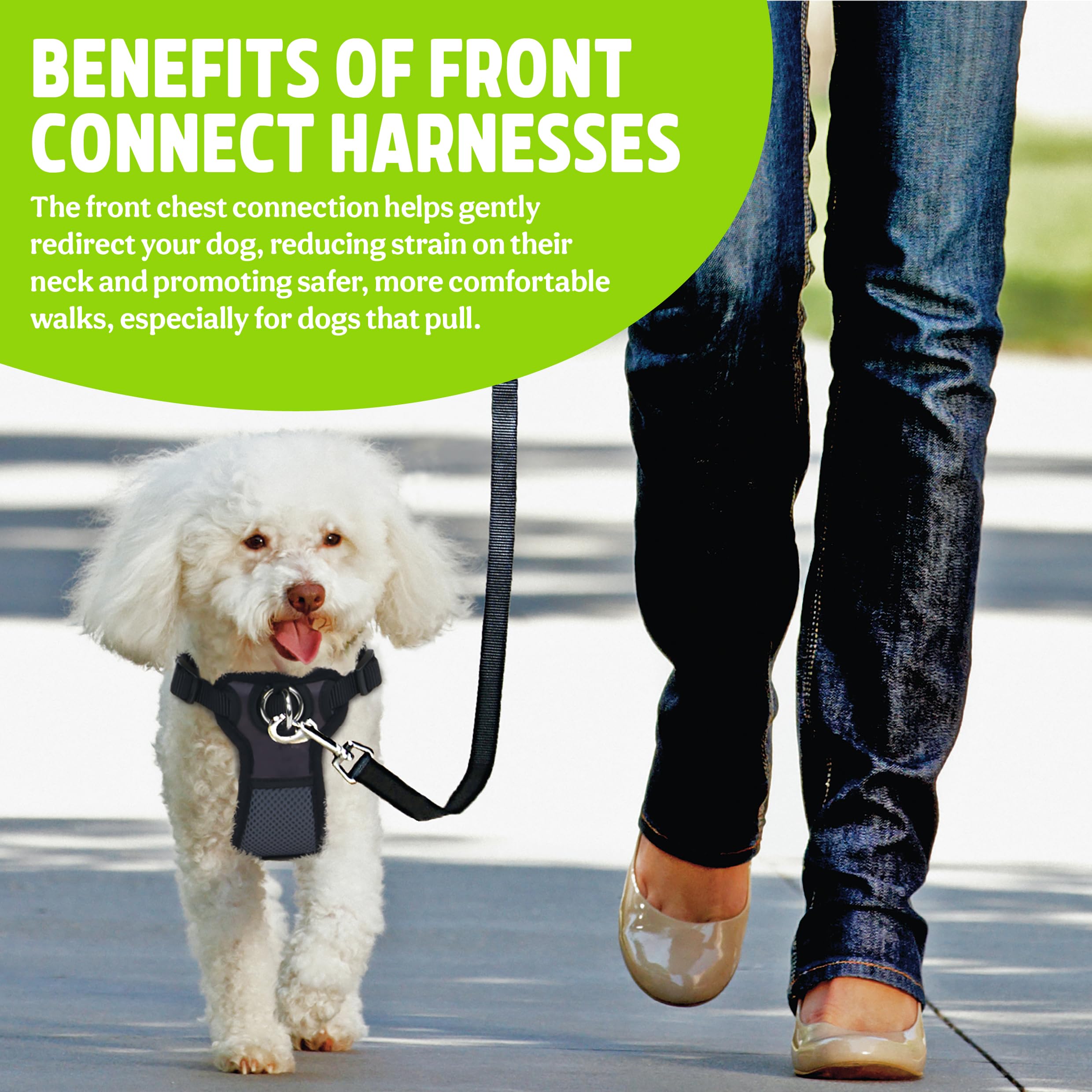 Premium Rosewood Walk 'n Train Front Connect Padded Dog Harness - Large Size, Adjustable & Comfortable for Medium to Large Dogs - Perfect for Training, Walking & Outdoor Adventures