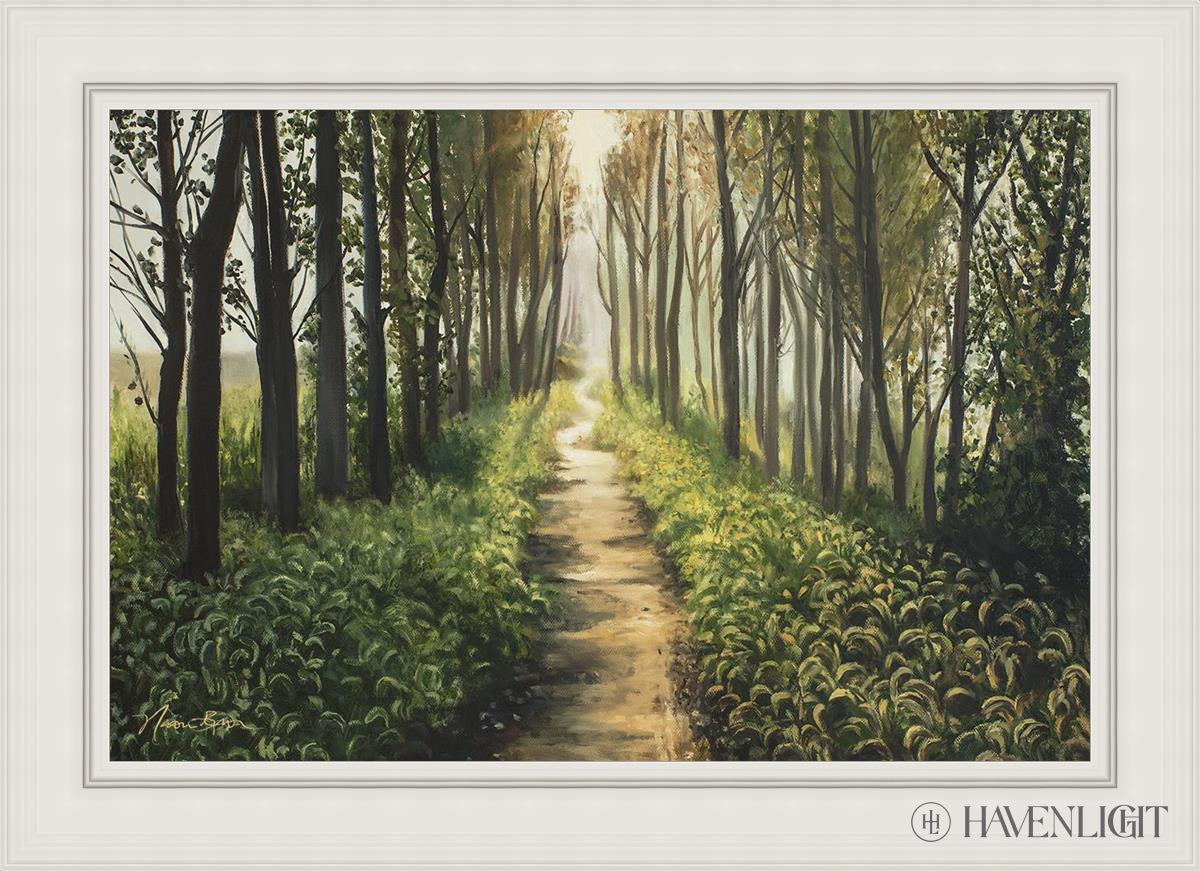 Forest Walkway - Beautiful Wooden Pathway for Gardens, Parks & Trails | Perfect for Outdoor Decor & Nature Walks