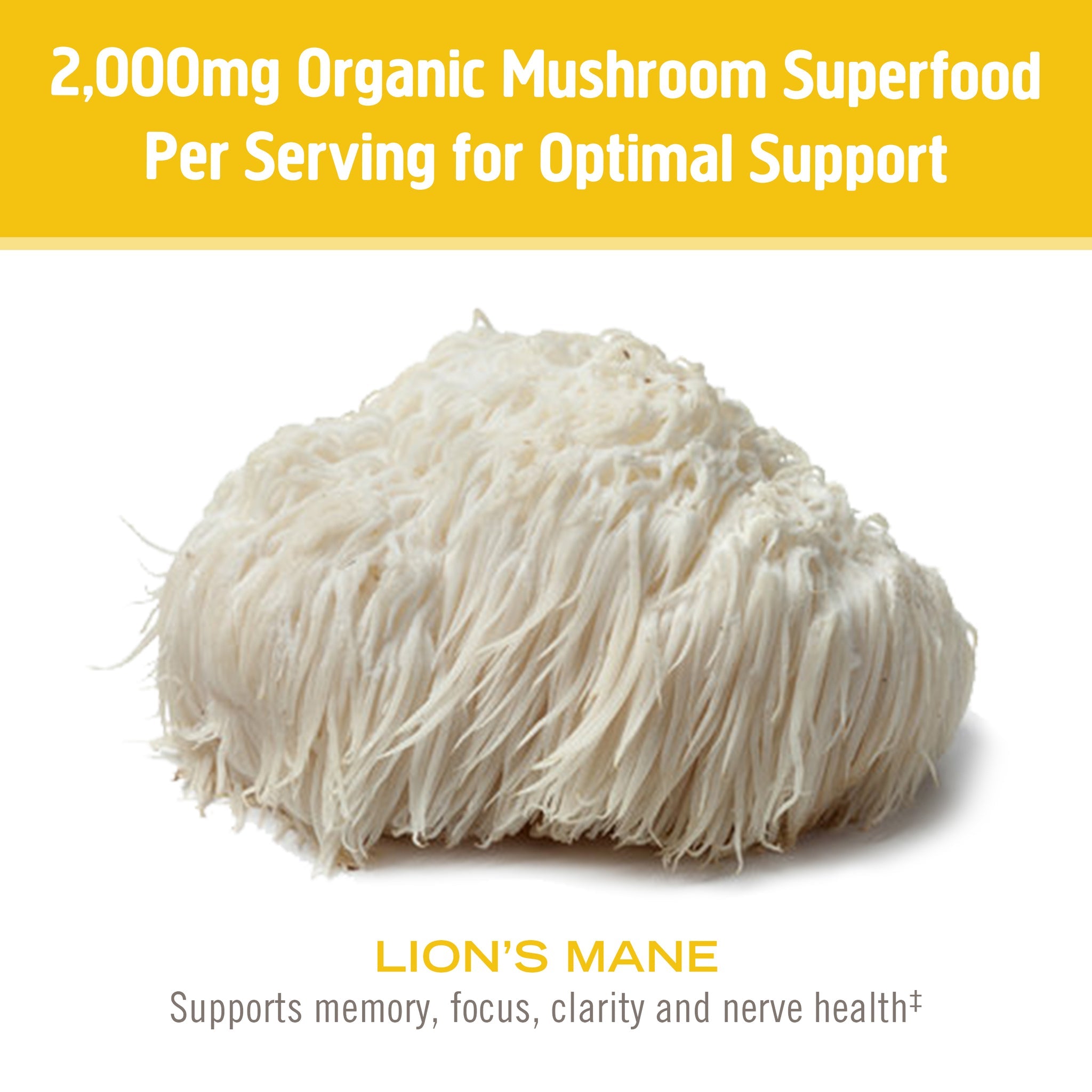 Organic Lion's Mane Mushroom Powder Supplement - 100% Pure Nootropic Brain Booster for Focus & Memory - Vegan Capsules for Cognitive Support - Perfect for Students, Professionals & Healthy Lifestyle