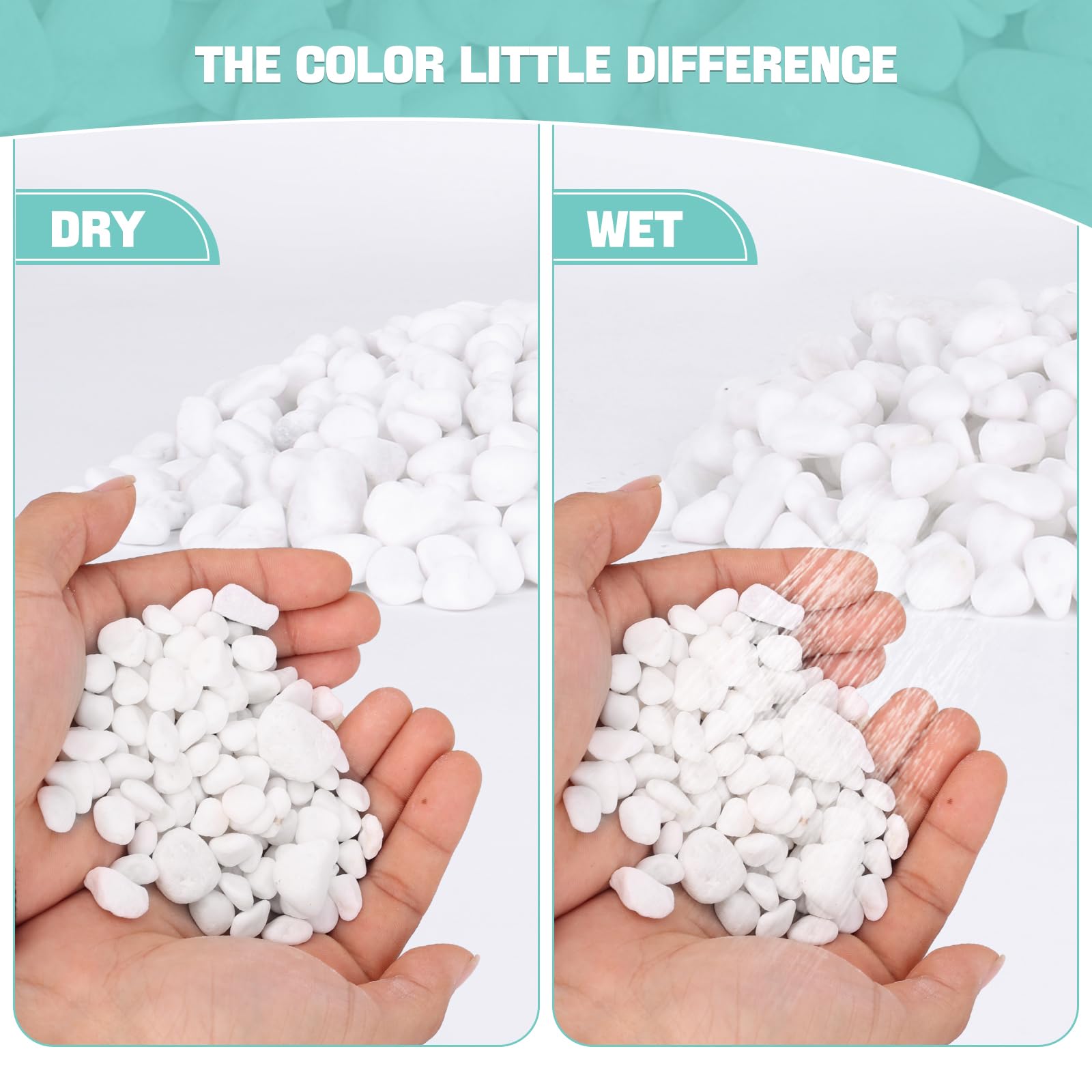 Natural White River Rocks for Potted Plants - 3/5 Inch Small Decorative Pebbles for Succulents, Cactus, Aquariums, Fish Tanks, Vases & Terrariums - 1 LB Indoor Plant Gravel for Home Decor & Landscaping