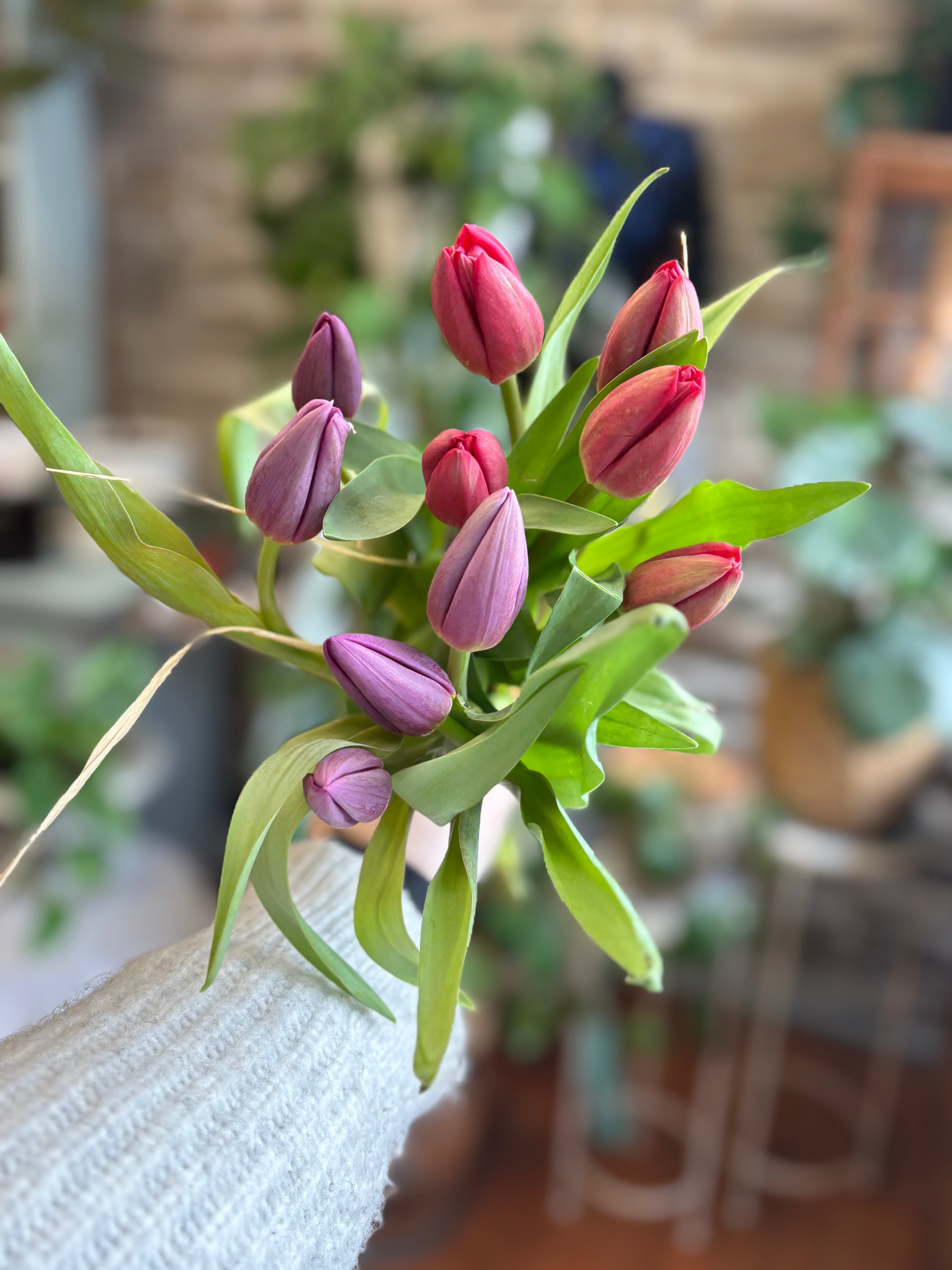 Fresh Tulip Flower Subscription - Monthly Blooming Tulips Delivered to Your Door | Perfect for Home Decor, Gifts & Special Occasions