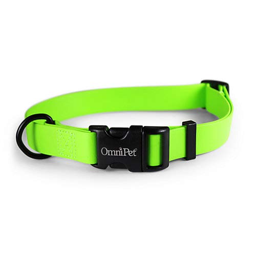 Lime Green