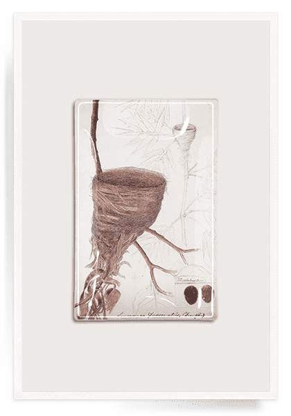 Handmade Nest Decoupage Glass Serving Tray - Elegant Home Decor for Coffee Table, Dining, and Gift Giving
