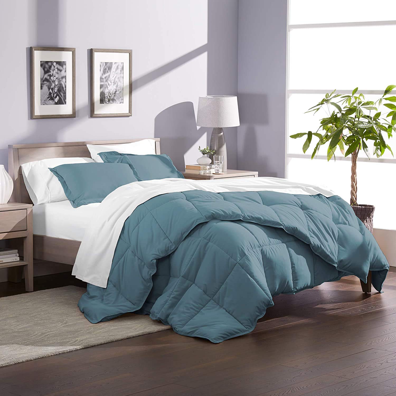 Premium 500 GSM 100% Cotton Extra Long Goose Down Alternative Comforter Set - Ultra Soft, Box Stitched, All Season Breathable Warmth with Pillow Shams (Queen/Full, Coronet Blue) - Perfect for Bedroom, Guest Room, Dorm & Cozy Home Decor