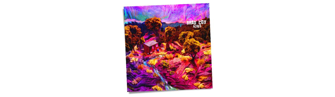 Brad Acres CD by CD Cox - Country Music Album for Relaxation & Road Trips