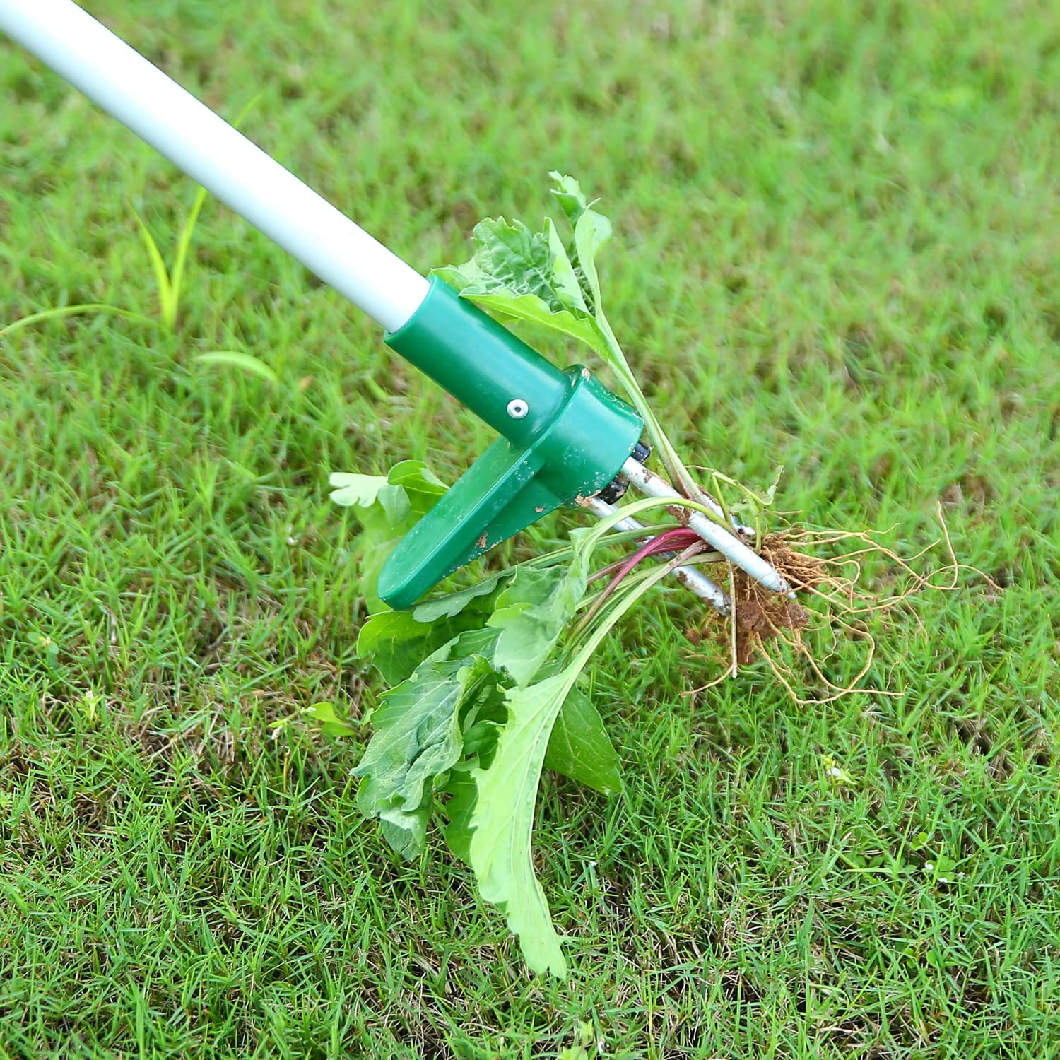 Ohuhu Stand-Up Weed Puller Tool with Long Handle - Stainless Steel 3-Claw Weed Remover for Easy Gardening - Detachable Design for Effortless Weed Removal Without Bending or Kneeling - Perfect for Seniors, Elderly & Back Pain Sufferers - Great for Lawn, Garden & Yard Maintenance