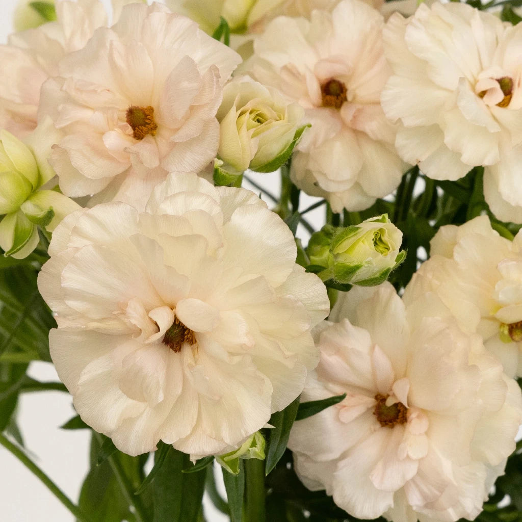 Blush Pink Butterfly Ranunculus Silk Flower Bouquet for Wedding Centerpieces, Home Decor, and DIY Floral Arrangements