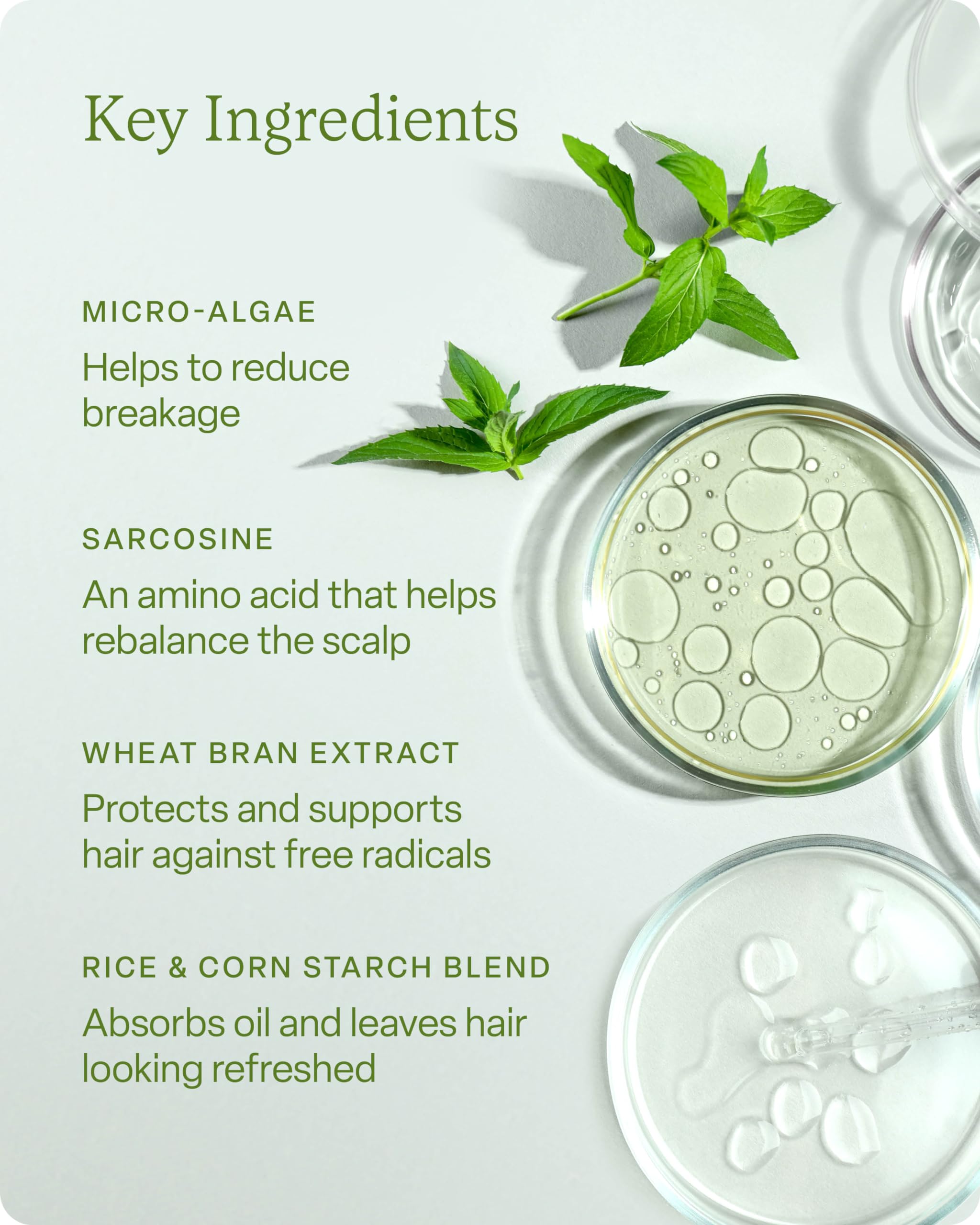 Divi Hydration Essentials Bundle - Hydrating Shampoo & Conditioner Set, Dry Shampoo & Silk Hair Scrunchies for Healthy Moisturized Hair | Daily Hair Care Routine for Women & Men
