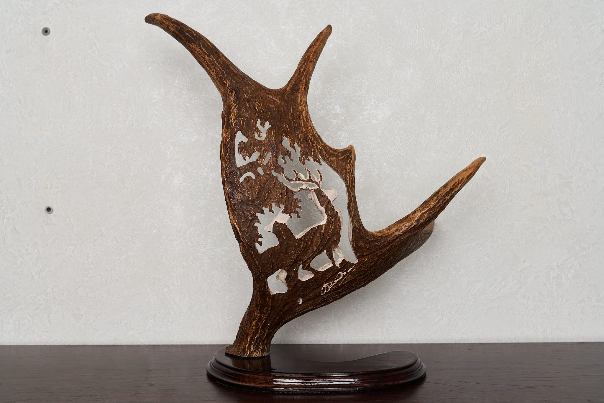 Real Moose Taxidermy Carved Antler Mount - Handcrafted Deer Horn Wall Decor for Hunting Lodge & Cabin - ST7104 | Rustic Home Decor, Man Cave Gift, Wildlife Trophy