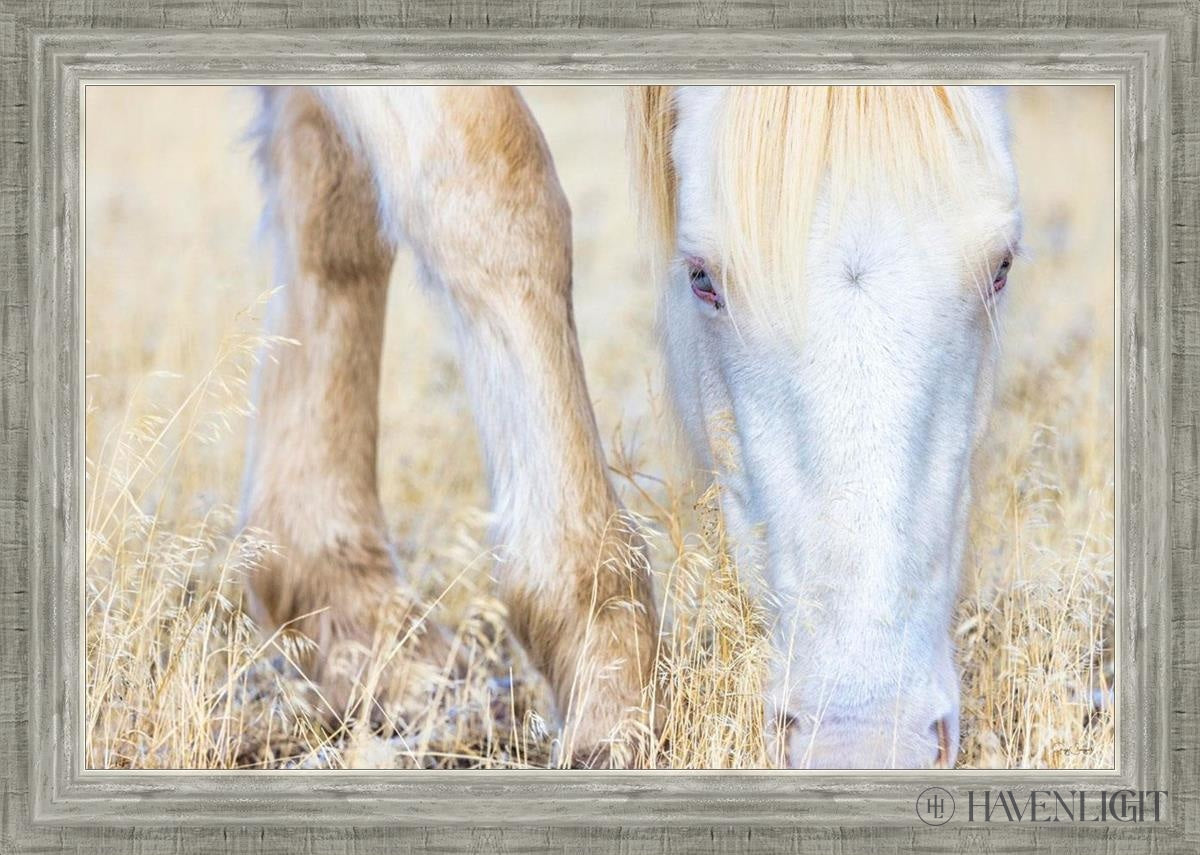 Dry Grass by Greg Sargent - Premium Handcrafted Home Decor for Rustic & Farmhouse Style - Perfect for Wall Art, Shelf Displays & Cozy Living Room Decor