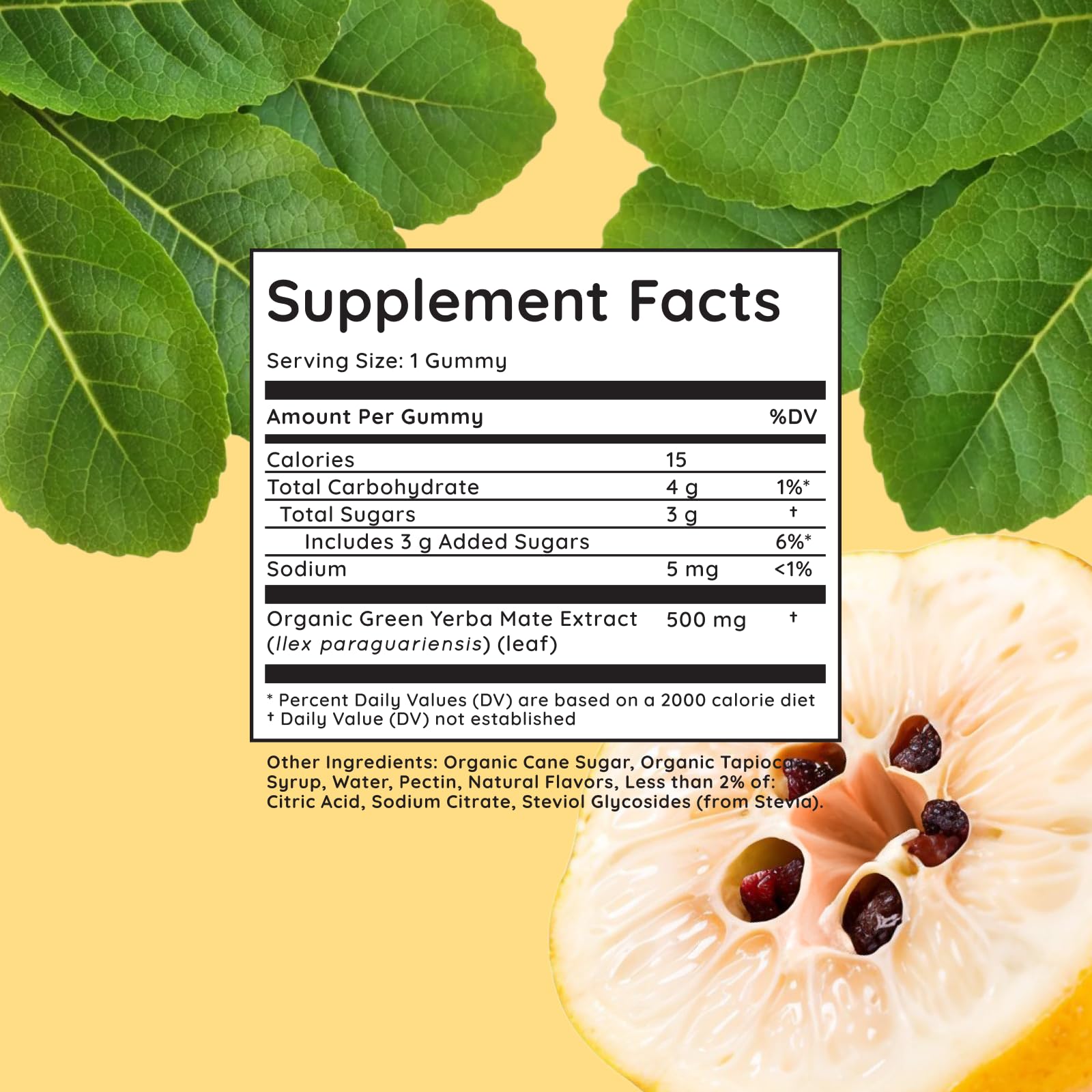 Organic Vegan Yerba Mate Gummies - Non-GMO, Gluten-Free Natural Energy Boost with Clean Caffeine | Plant-Based Antioxidants for Focus & Clarity | 6 Jars (50 Gummies Each) in Quince Fruit Flavor | Perfect for Workouts, Study Sessions & Healthy Lifestyle