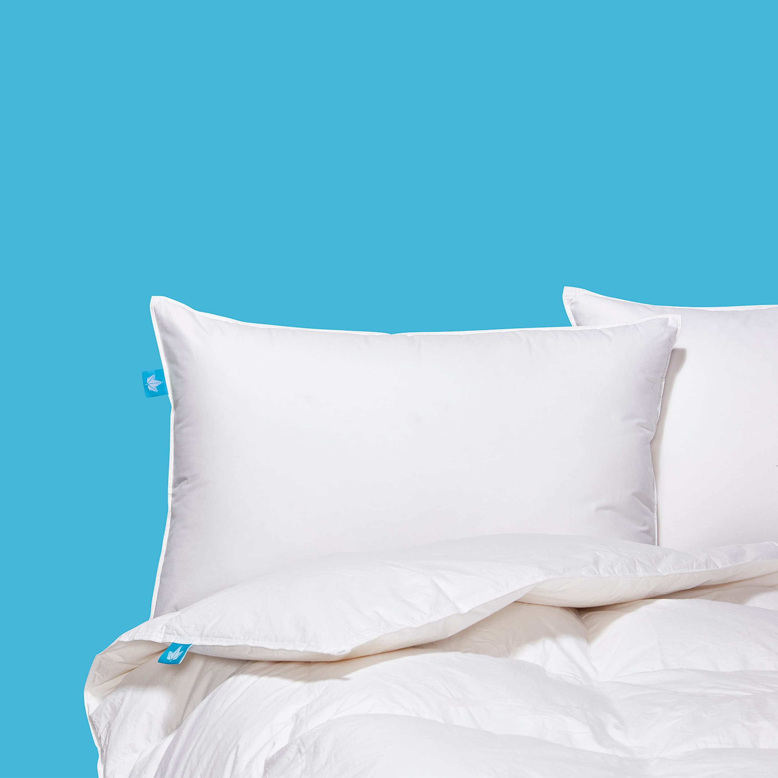 Premium 2-Pack Canadian White Goose Down Pillows - Queen Size, 260 TC 100% Cotton Shell - Soft Support for Side & Back Sleepers - Perfect for Bedroom Luxury & Hotel-Style Comfort