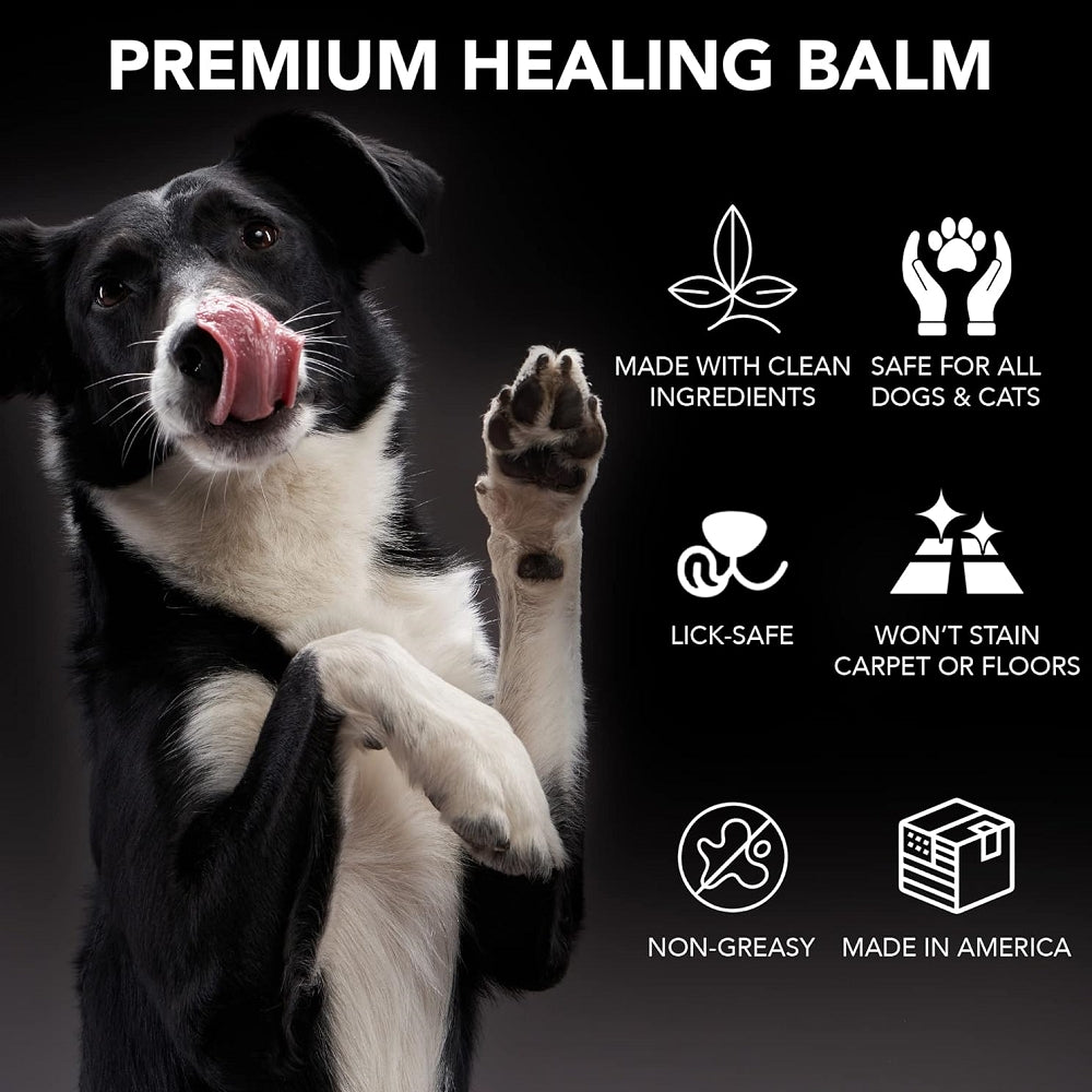 Pride Groom Pro Balm for Dogs - Soothing Paw & Nose Moisturizer | All-Natural Dog Skin Care | Perfect for Dry Paws, Cracked Noses & Winter Protection