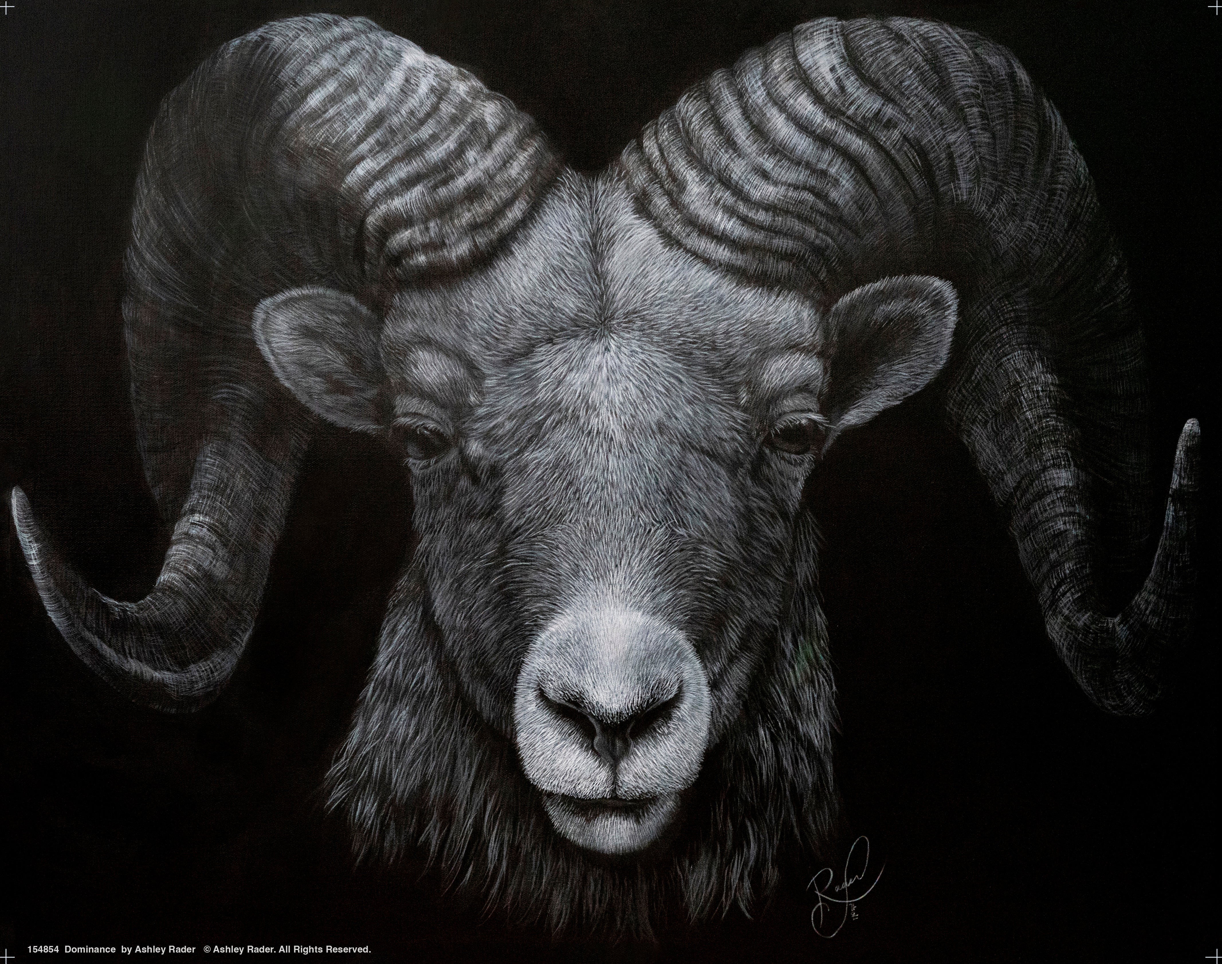 Dominance Art Prints - Premium Wall Decor for Home & Office | Modern Canvas & Framed Artwork for Living Room, Bedroom, Office