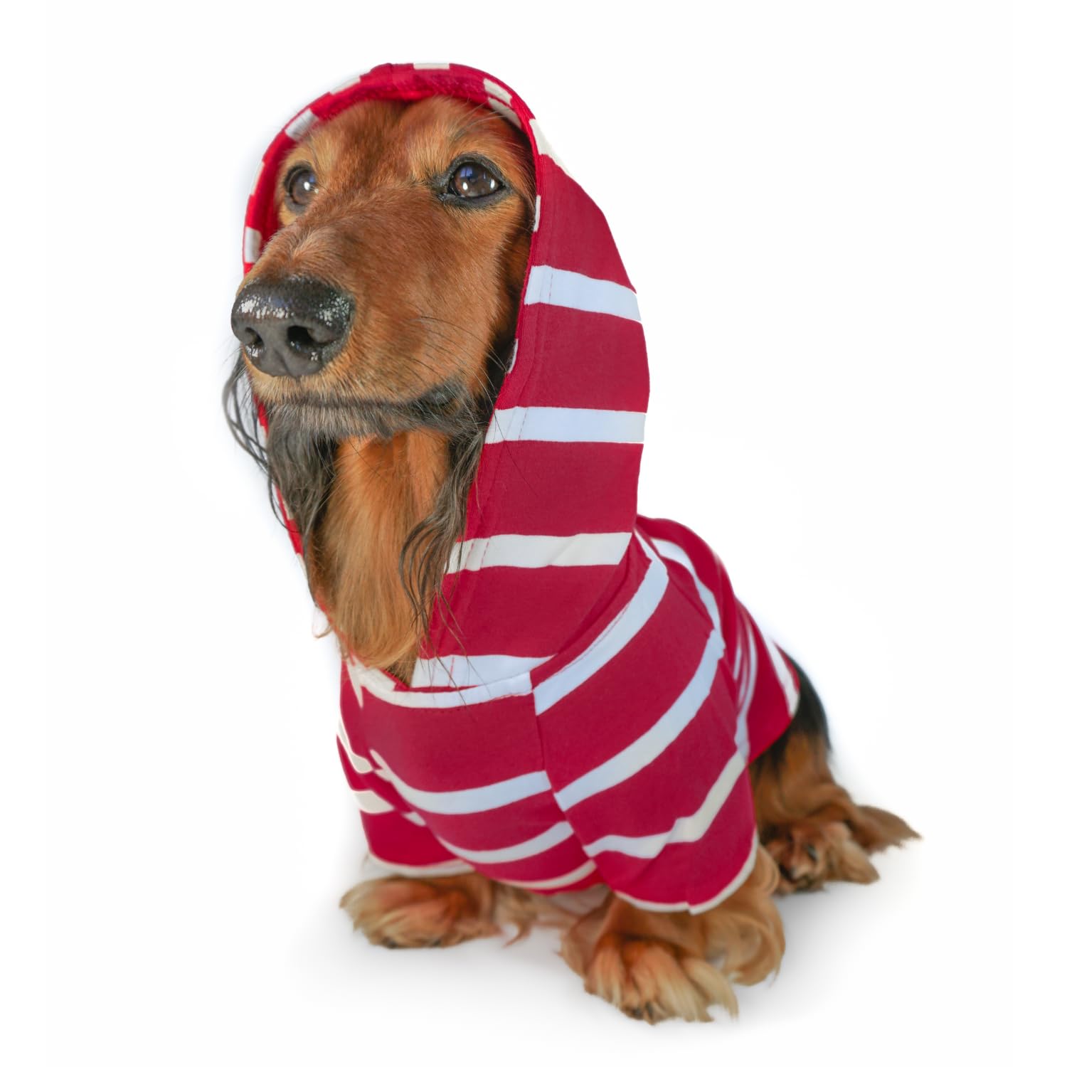 DJANGO Dog Hoodie - Soft & Stretchy Winter Sweater for Dachshunds & Small Dogs - Cozy Red Dog Sweatshirt with Elastic Waistband & Harness Hole - Machine Washable Pet Clothing for Cold Weather - Perfect for Outdoor Walks & Indoor Lounging