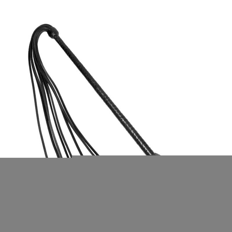 Prowler RED Long Handle Whip - Premium Equestrian Training Whip for Horse Riding, Dressage & Show Jumping | Durable Fiberglass Core with Comfort Grip | Perfect for Professional Trainers & Equestrian Enthusiasts