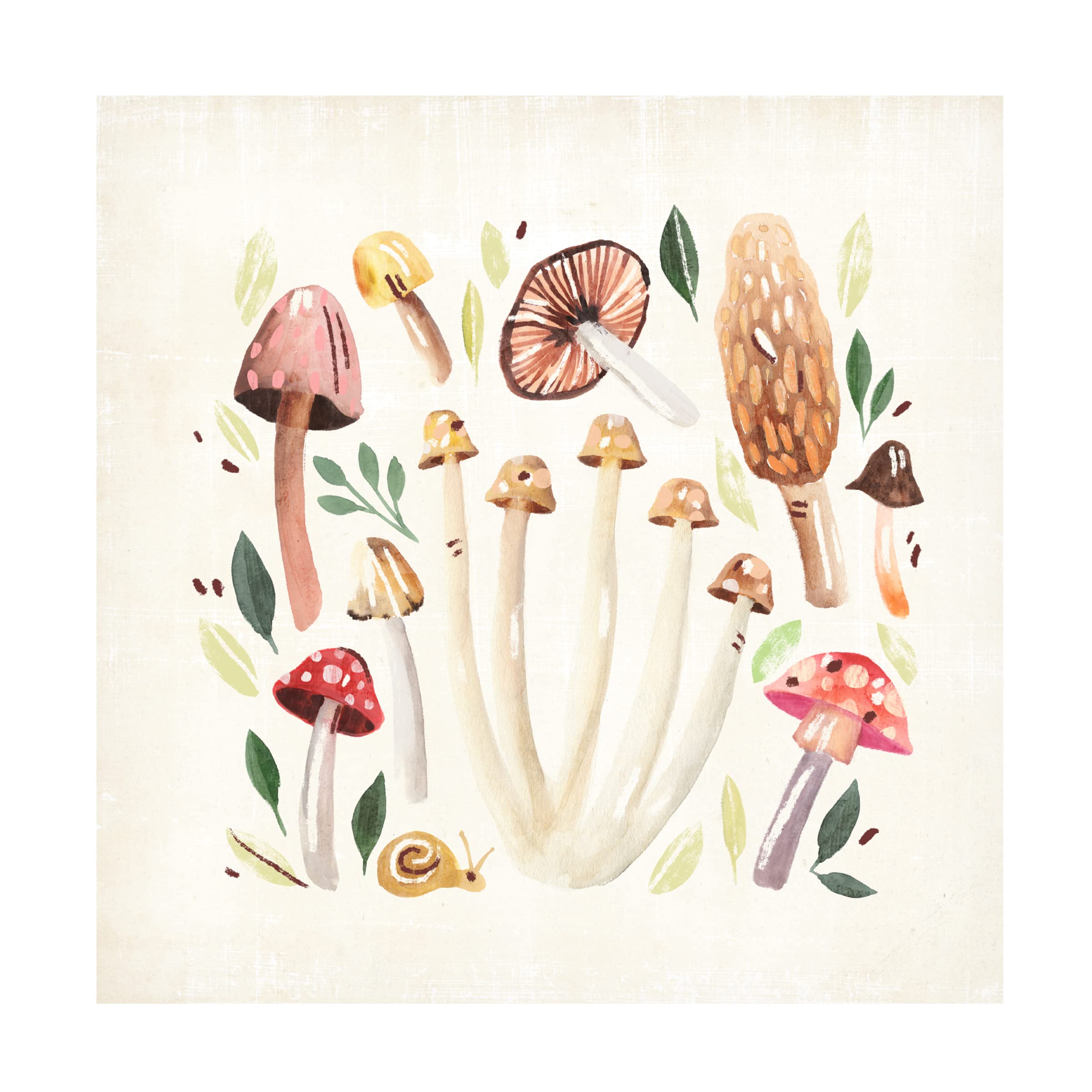 Annie Warren 'Fungi Field Trip II' Canvas Wall Art Print - Nature Inspired Botanical Decor for Living Room, Bedroom & Office