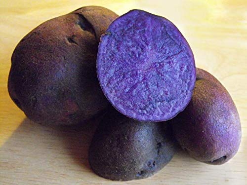 2 Lbs Adirondack Blue Seed Potatoes - Non-GMO Certified, USA Grown Potato Tubers for Planting - Perfect for Home Gardens, Organic Farming & Sustainable Agriculture