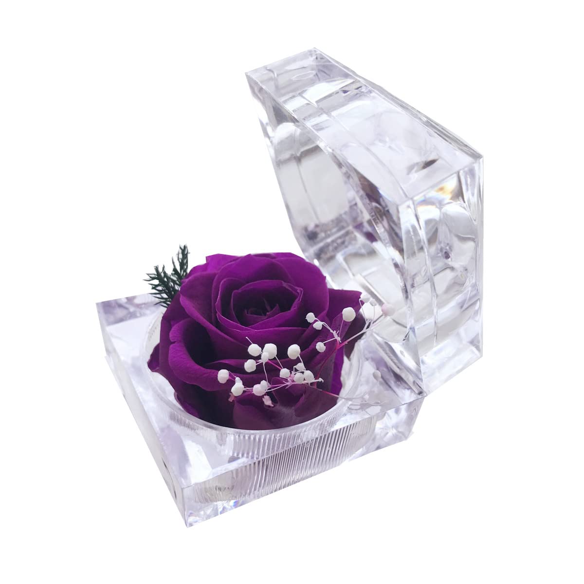 Real Preserved Rose in Mini Clear Ring Box - Eternal Flower Gift for Women, Mom, Girlfriend, Grandma | Perfect for Mother's Day, Anniversary, Valentine's, Christmas & Birthday (Purple) - Romantic Home Decor & Special Occasion Present