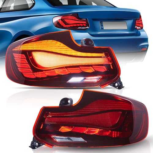 14-20 BMW 2 Series(Dragon Scale Red)