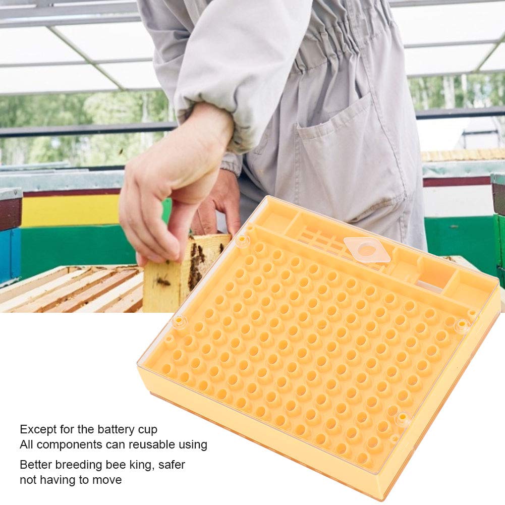Bee King Brood Tool & Beekeeping Incubator - Essential Hive Management Equipment for Honey Bees and Pollinators | Perfect for Beekeepers, Gardeners, and Bird Enthusiasts
