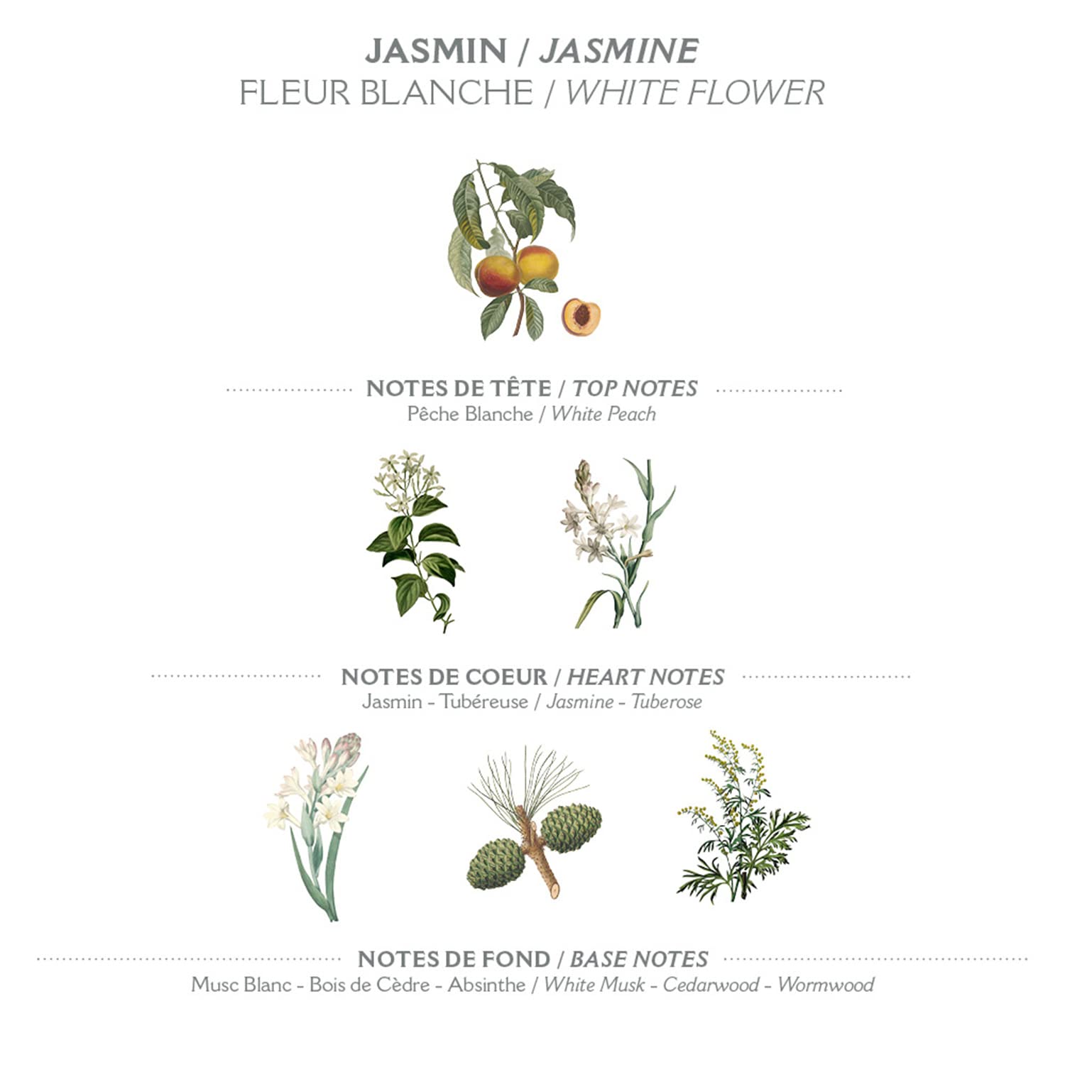 Panier des Sens Jasmine Body Lotion for Dry Skin - Hydrating & Nourishing Body Cream with Shea Butter & Olive Oil - 97% Natural Ingredients Moisturizer for Women - 8.45 Fl Oz - Perfect for Daily Hydration & Nighttime Skin Care