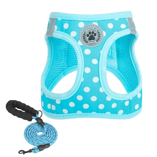 Blue Polka Dots