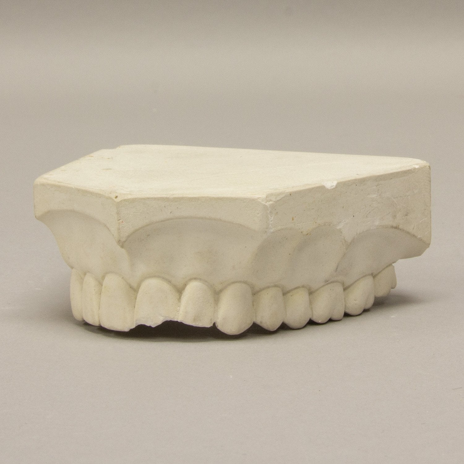 High-Quality Replica Orthodontic Study Model - Dental Training & Education Tool for Students & Professionals | Perfect for Classroom, Lab & Clinical Practice