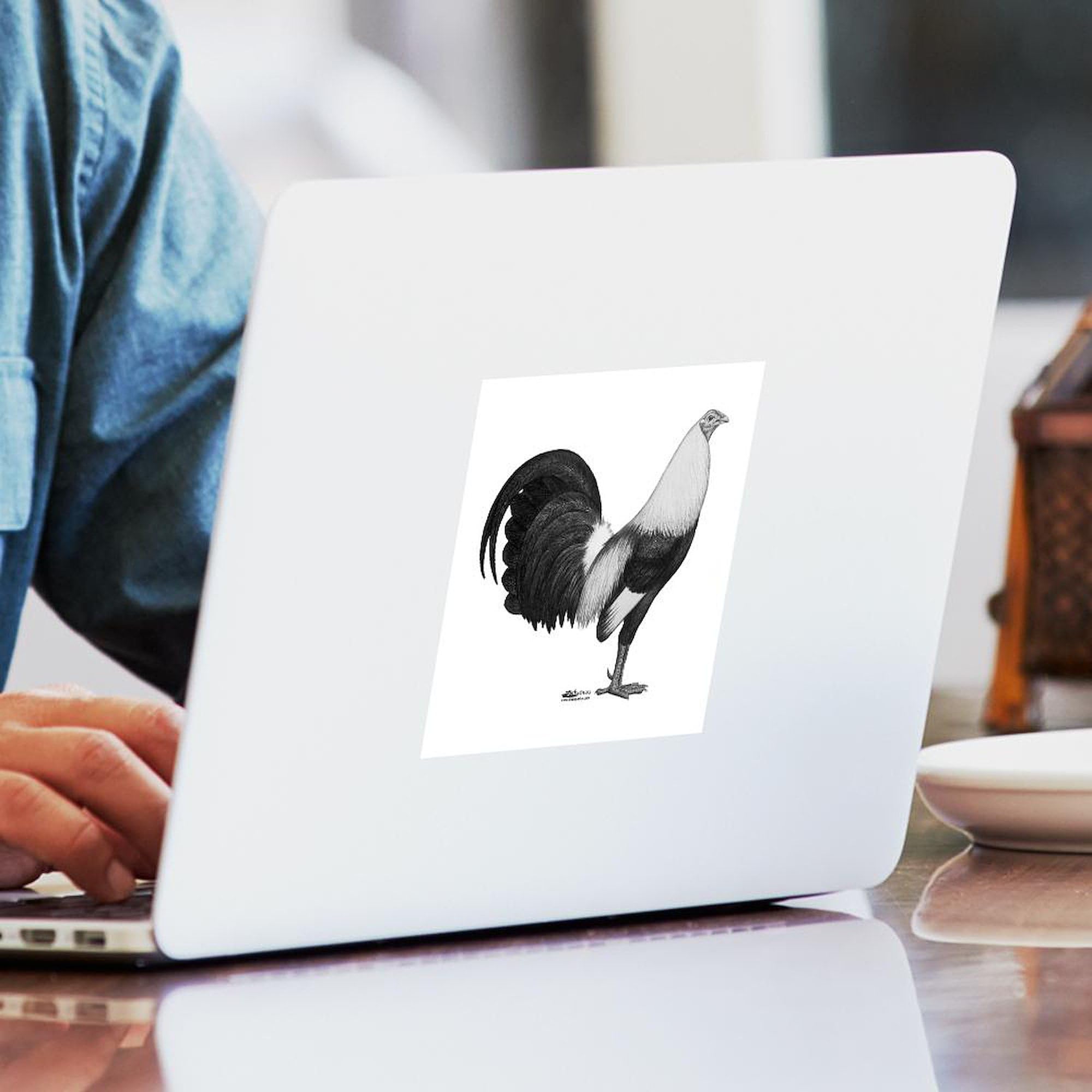 Gamecock Grey Duckwing Rooster Sticker - Square Bumper Sticker & Car Decal for Cars, Laptops, Windows | Funny Gift for Poultry Lovers & Chicken Farmers