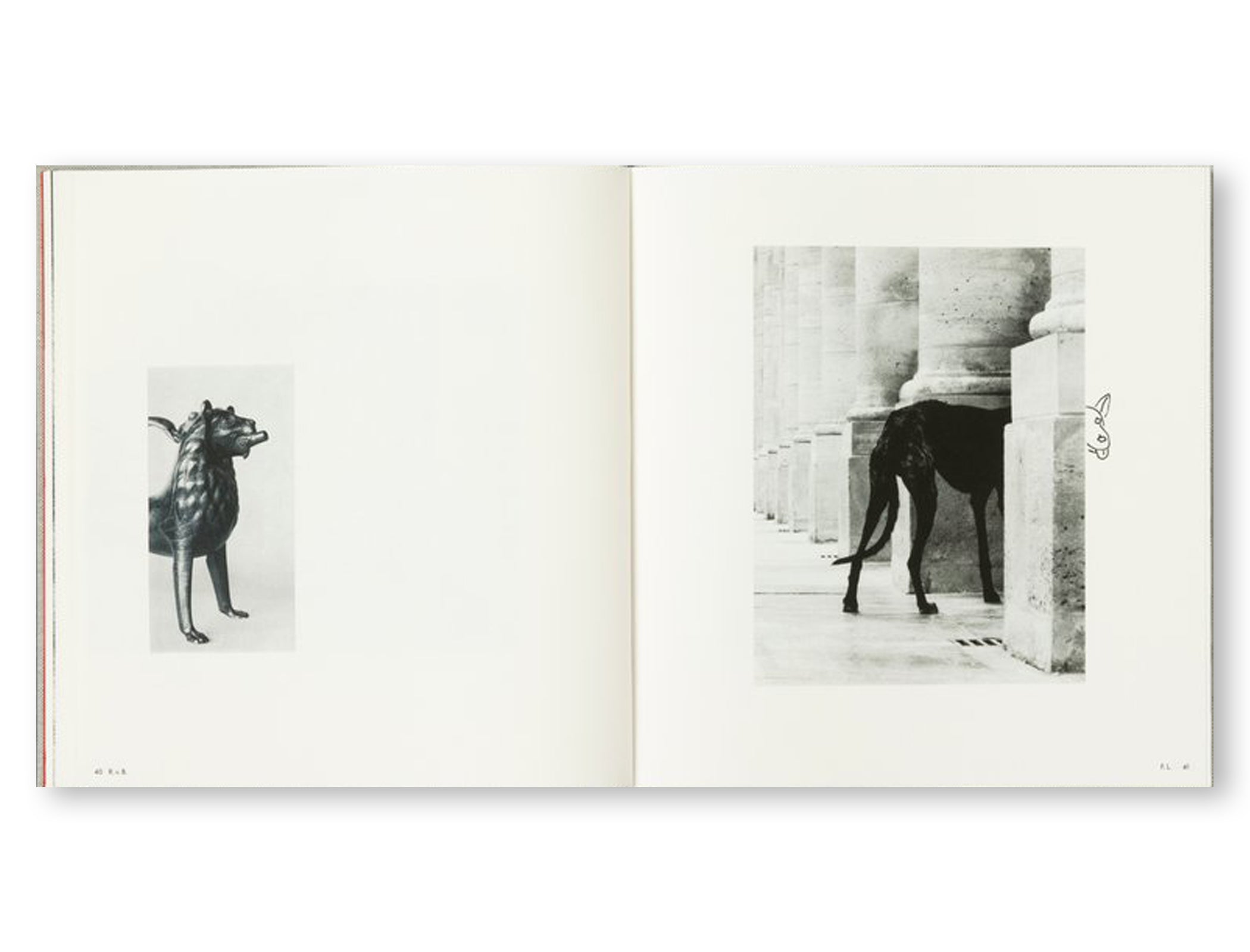 PHOTOGRAPHS by Jack Davison - Annotated Artists Edition Photography Book | Limited Collector's Edition for Art Enthusiasts & Photography Lovers - Perfect for Home Decor, Coffee Table Display & Gift Giving