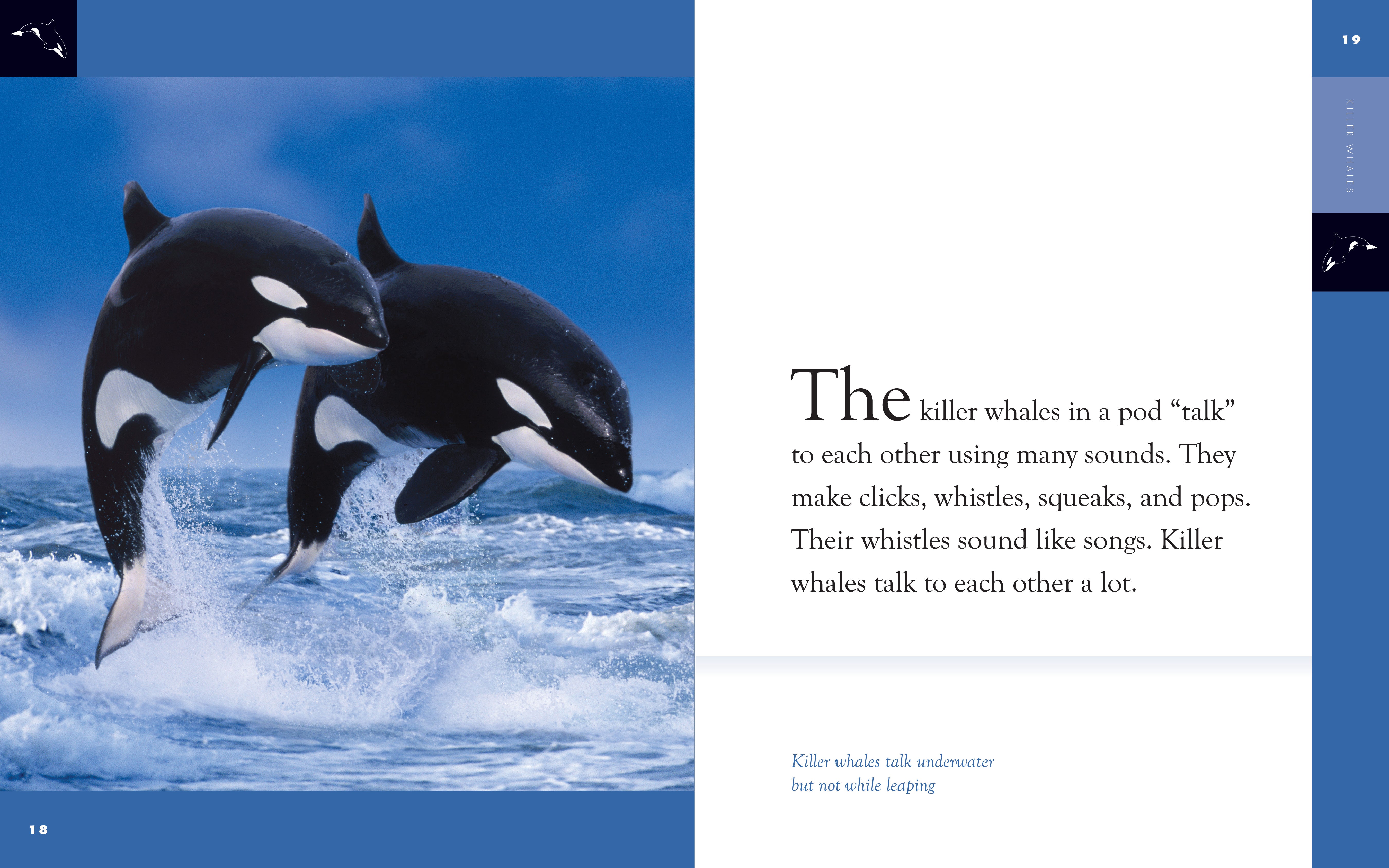 Amazing Animals (2014): Killer Whales Documentary - Discover Orca Behavior, Hunting & Family Life | Perfect for Marine Biology Enthusiasts & Nature Lovers