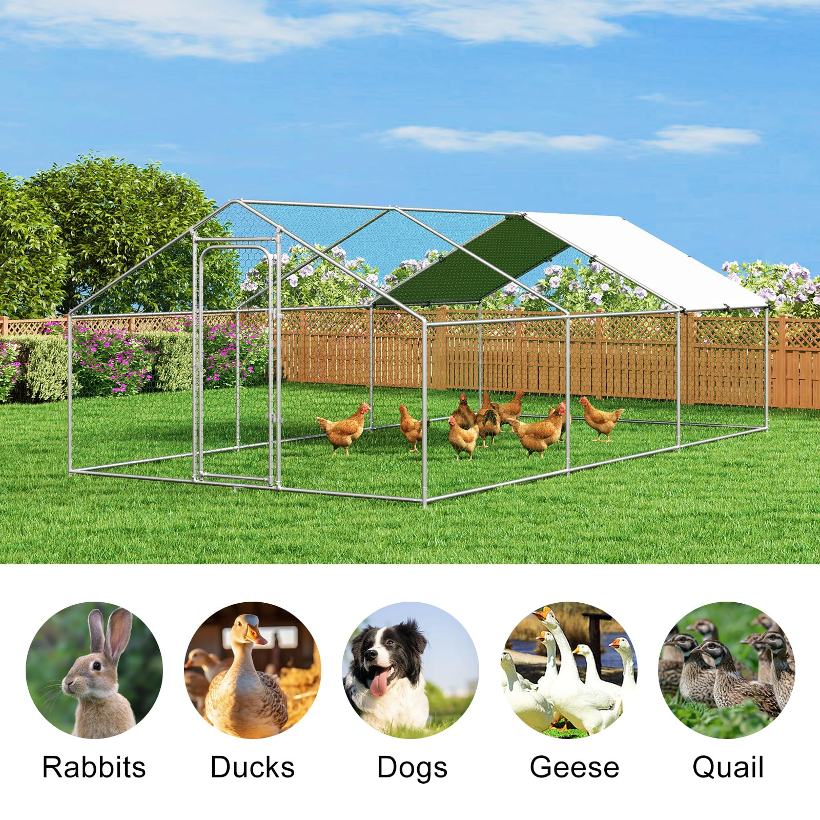 Large Walk-in Metal Chicken Coop - 9.8'L x 19.7'W x 6.4'H Poultry Cage with Waterproof UV-Resistant Cover for Hens, Ducks & Rabbits - Durable Backyard Farm & Garden Enclosure for Animal Protection & Free Roaming