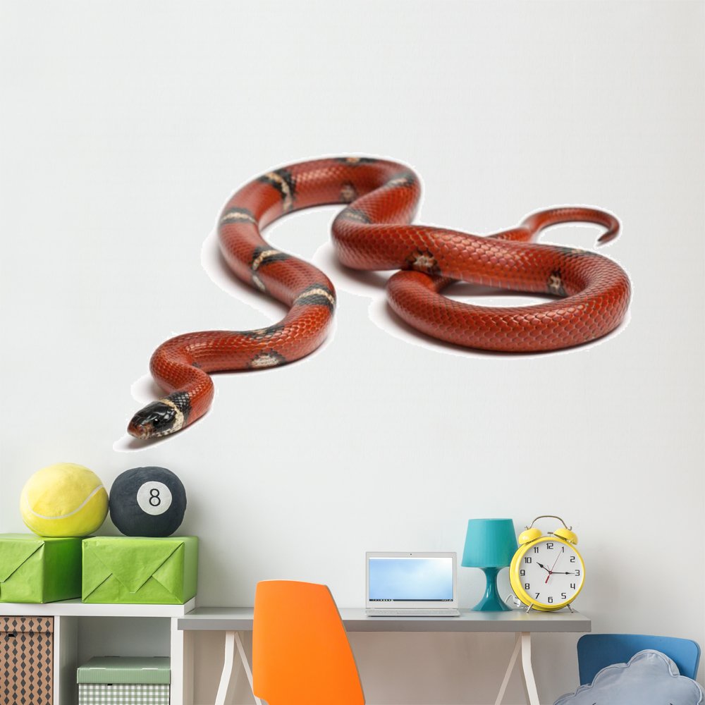 Sinaloan Milk Snake Wall Decal - 72x40 Inch Peel & Stick Reptile Graphic Art for Home & Office Decor | Perfect for Living Room, Bedroom, or Reptile Enthusiast Spaces