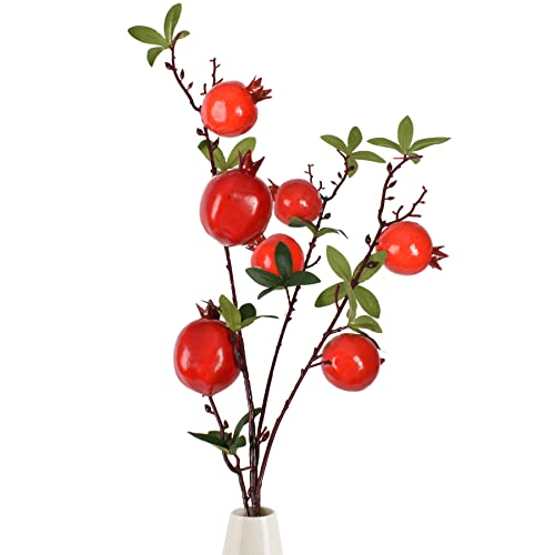 Pomegranate Branch