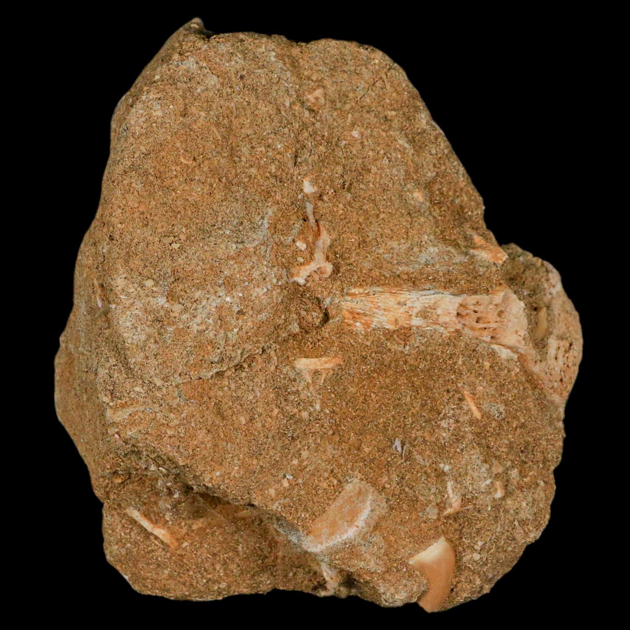 2.2