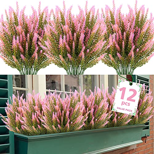 Lavender-pink